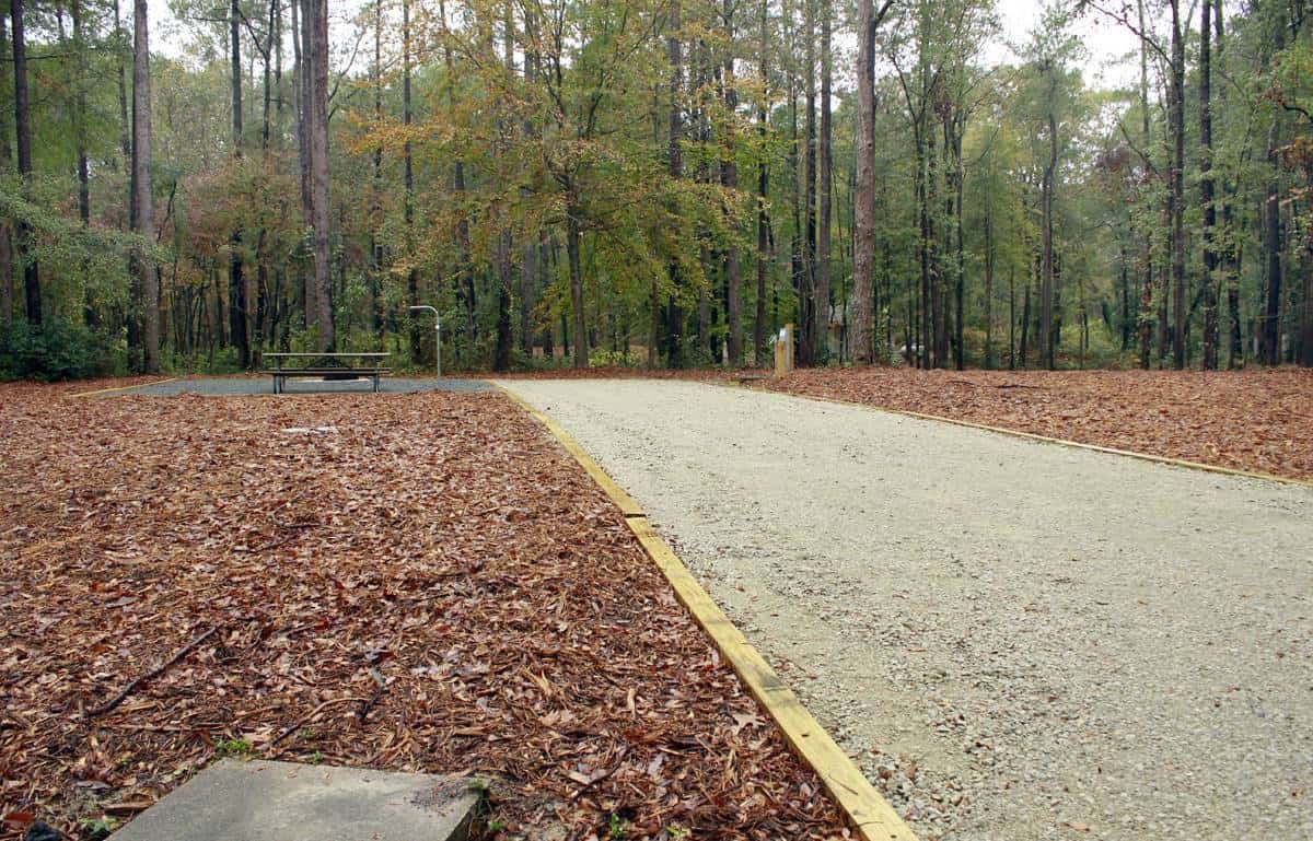 Cliffs of the Neuse State Park