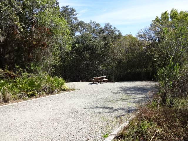 Myakka River State Park Palmetto Ridge Campground