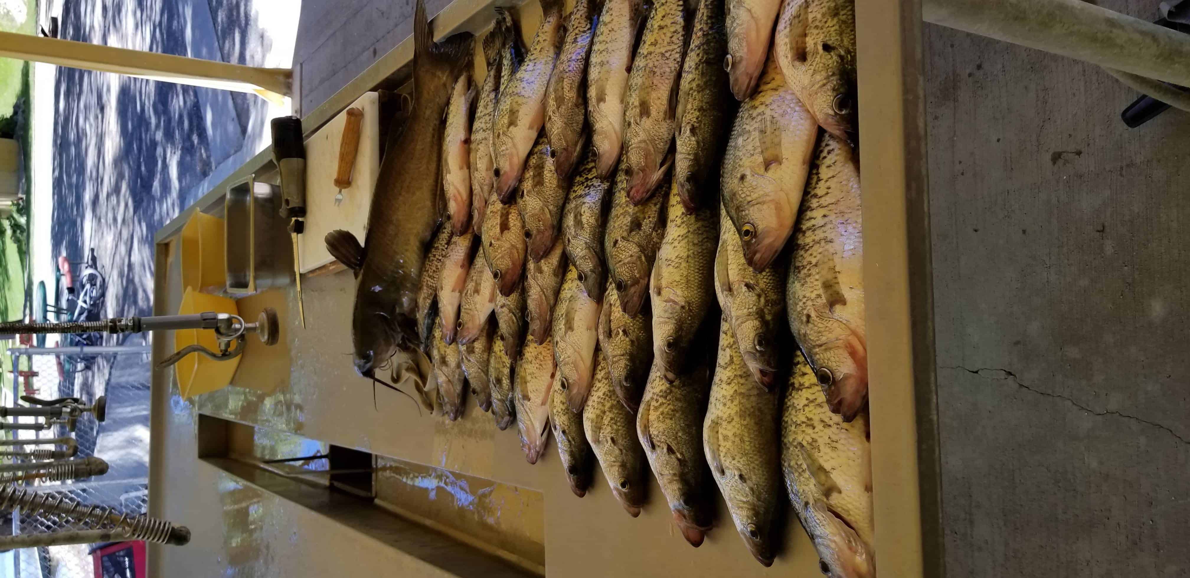 Hewitt / Holcomb Park