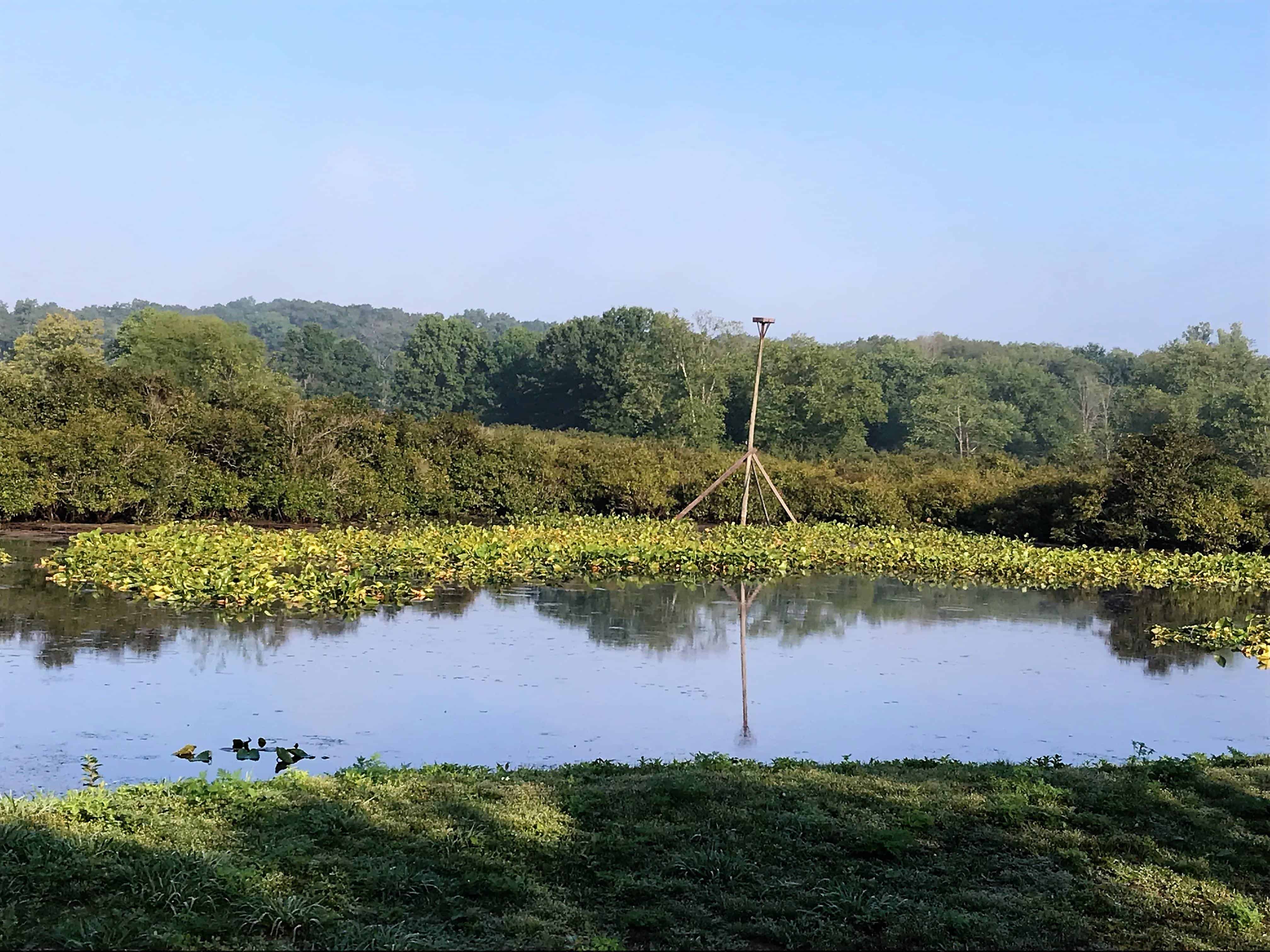 Tippecanoe River State Park