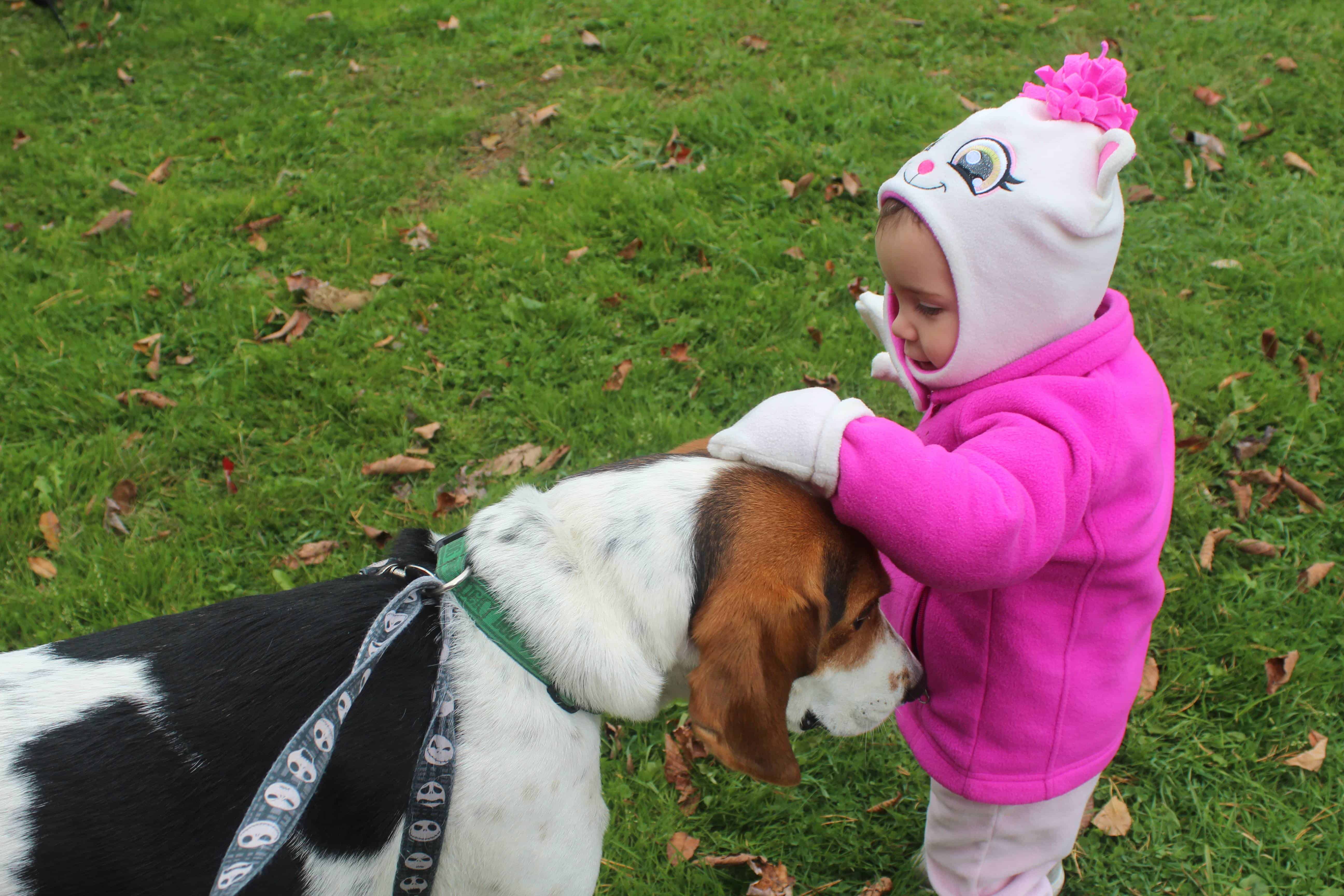 All Adventures Campground