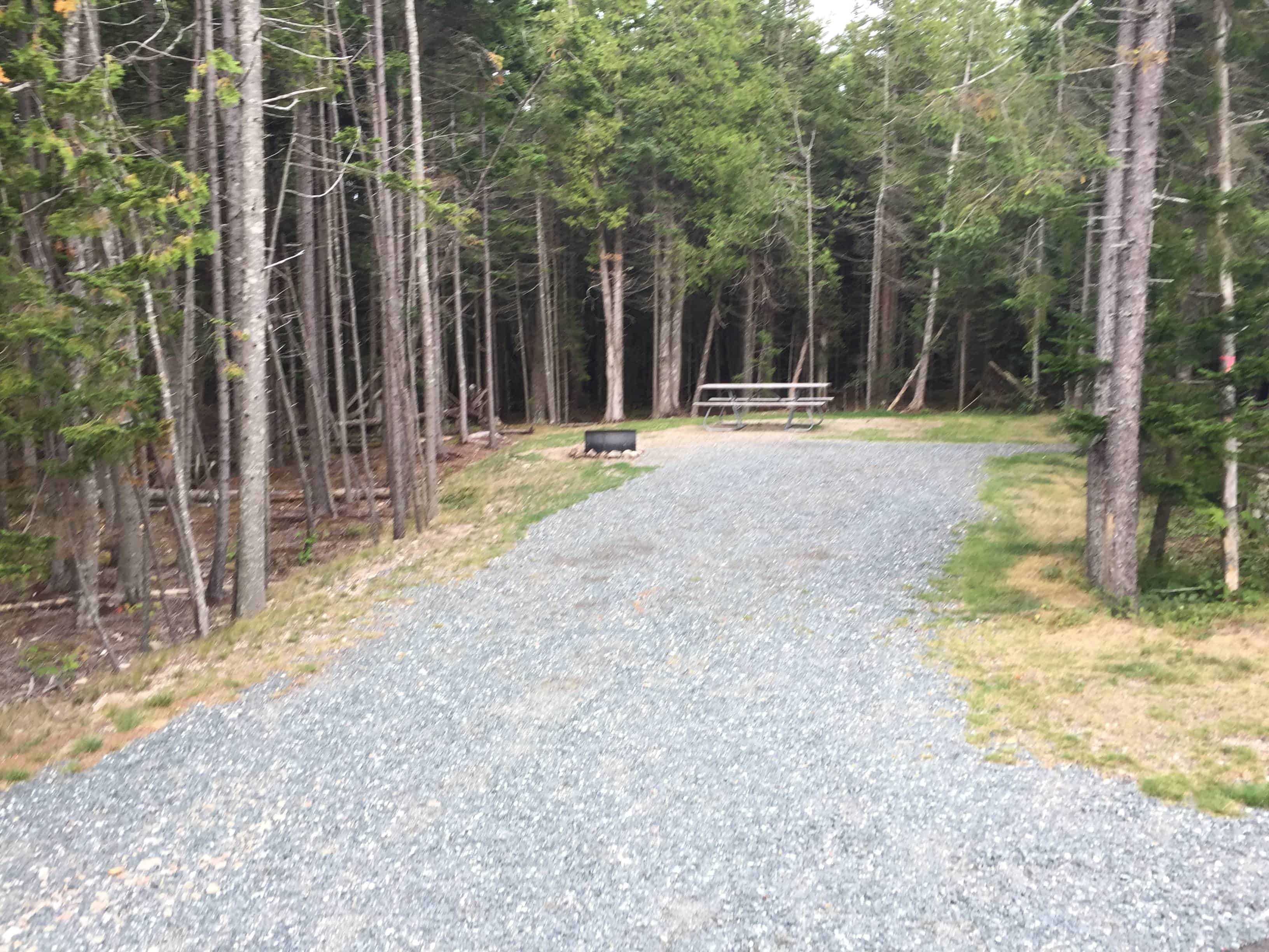 Schoodic Woods Campground