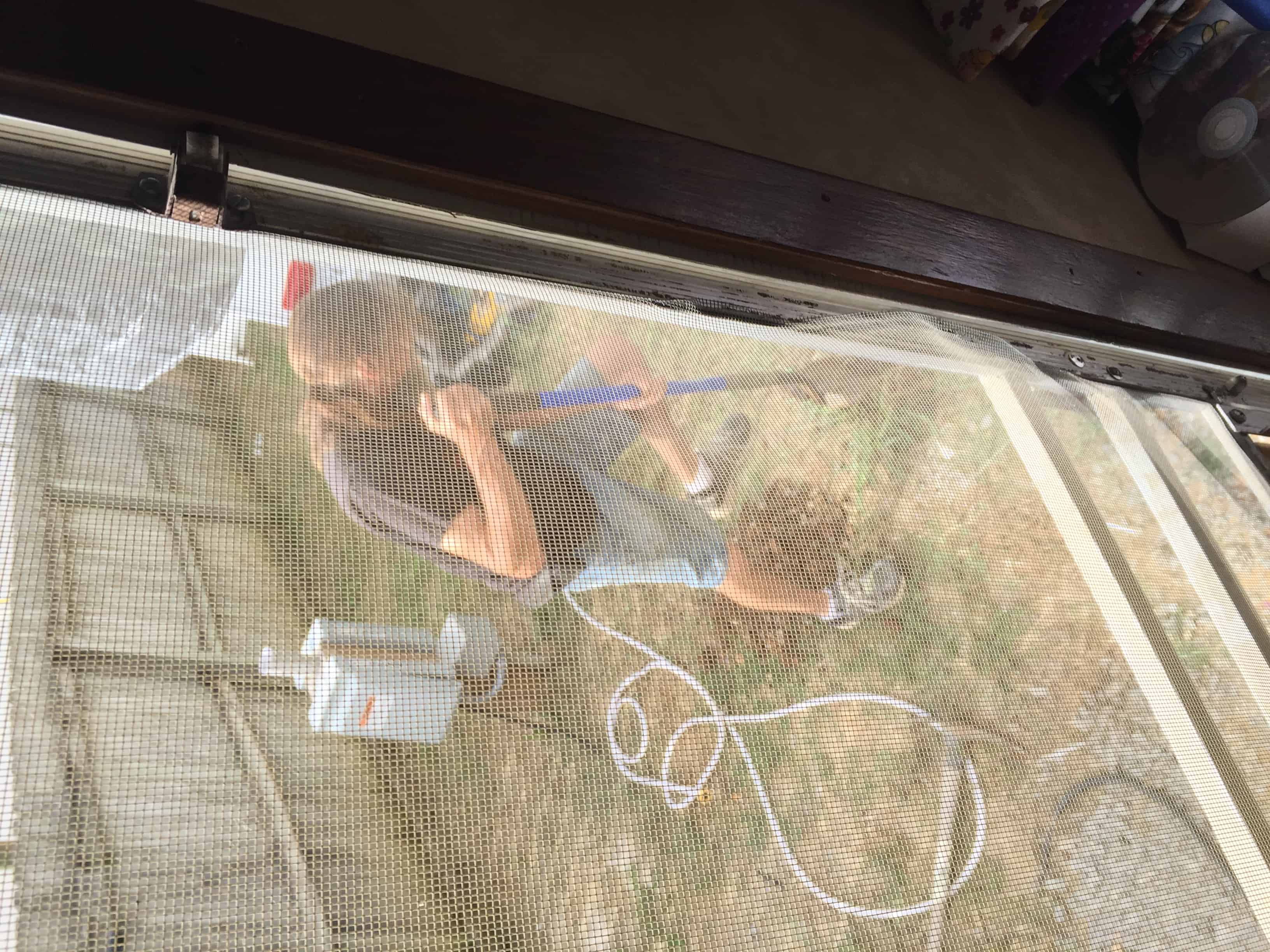 Music City Campground