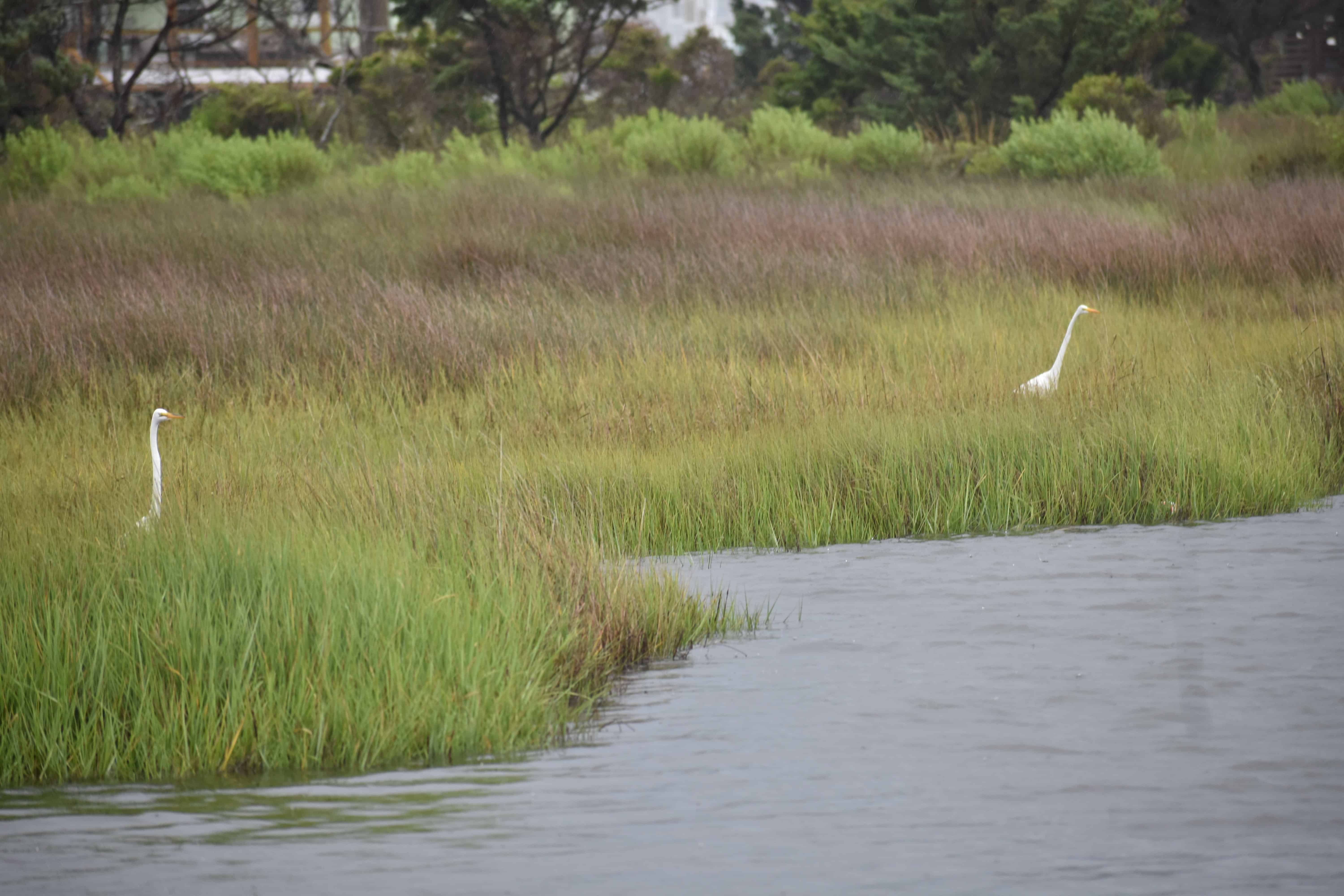 Hatteras Sands Resort