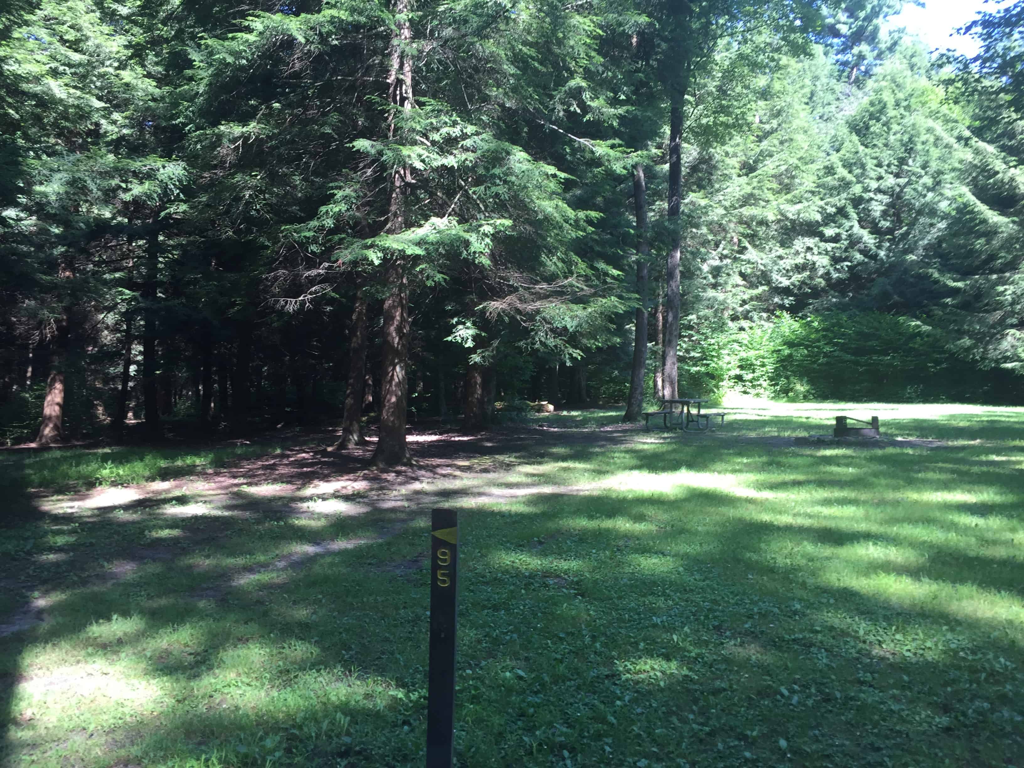 Cook Forest State Park