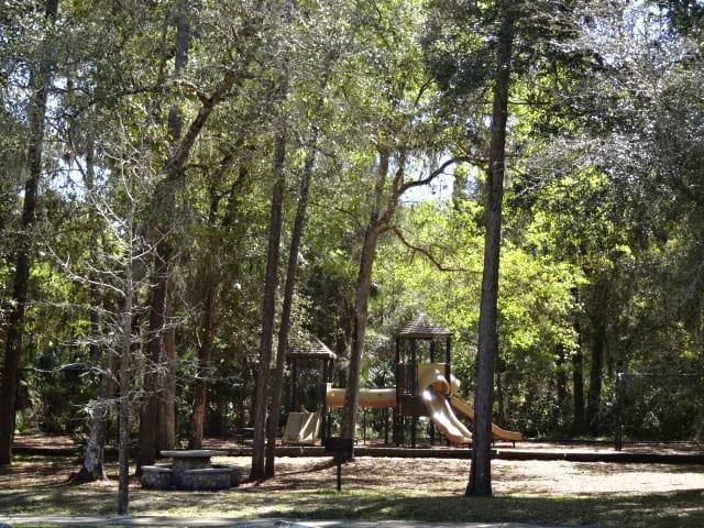 Hillsborough River State Park Campground - Hammock Circle