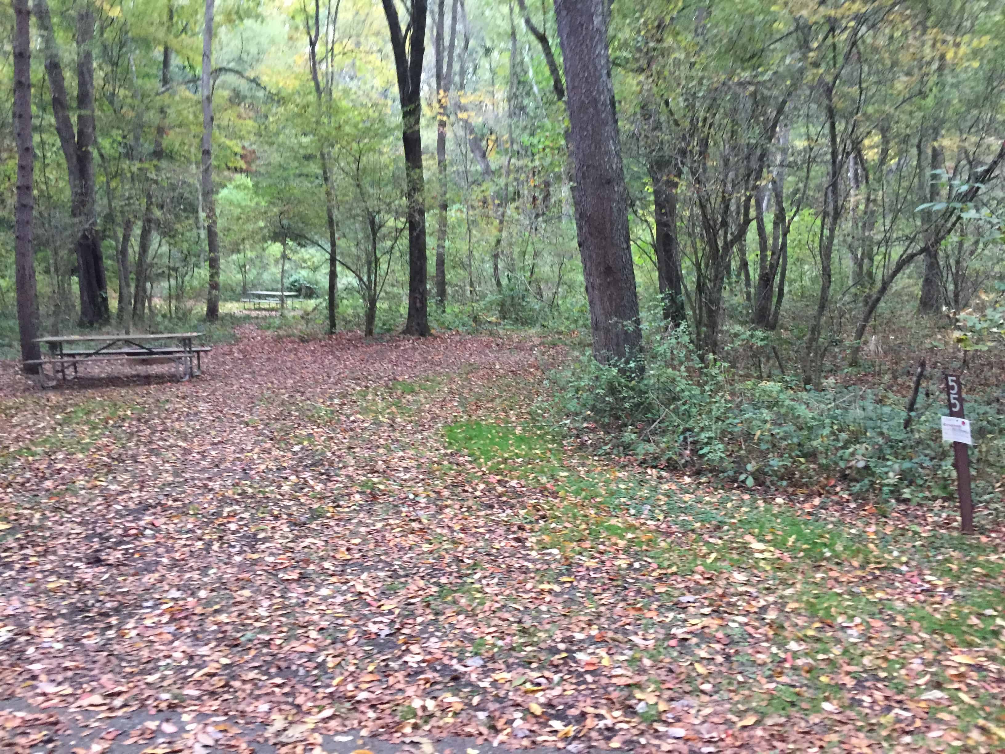 Buckaloons Recreation Area Campground