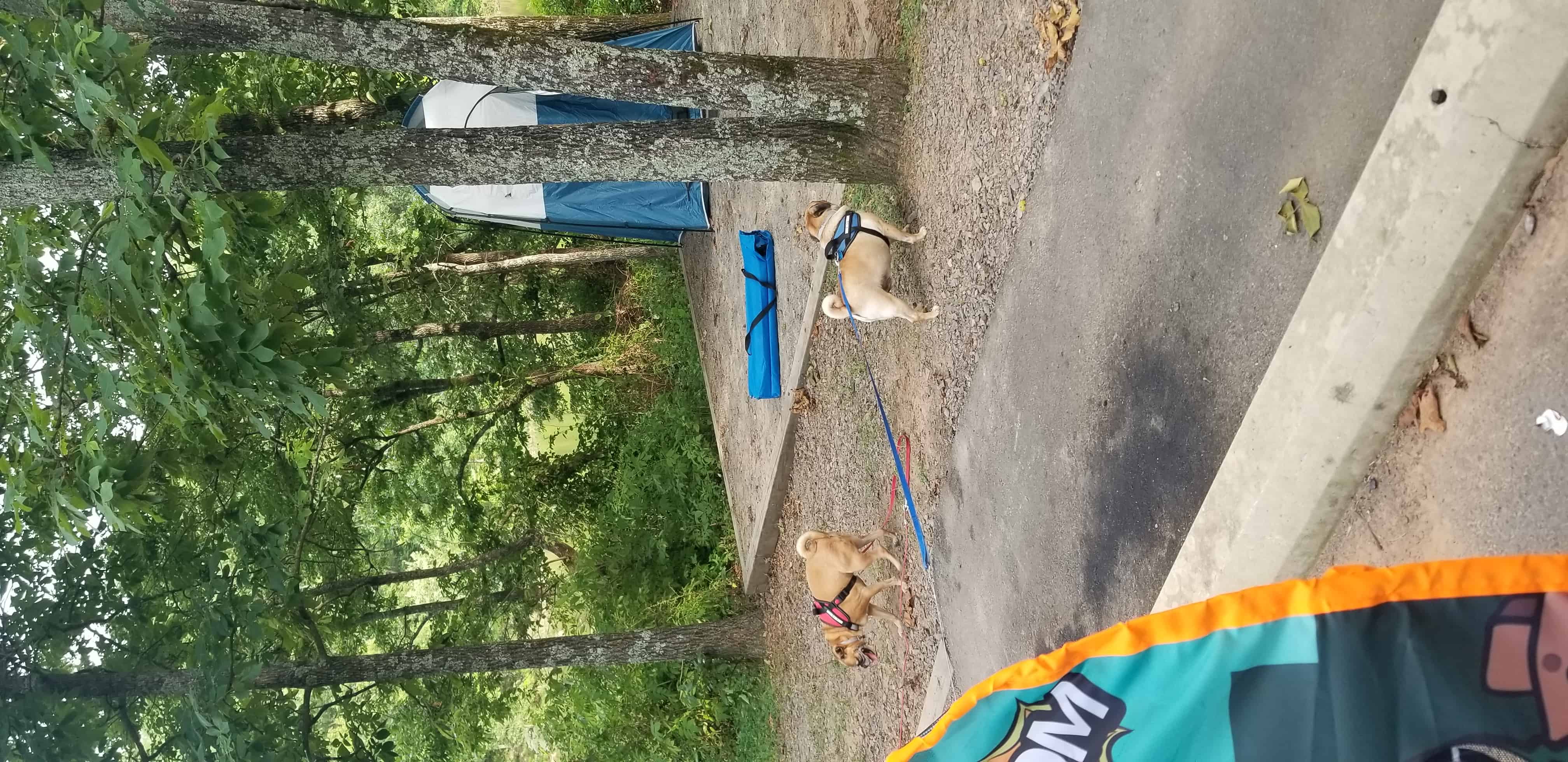 Woolly Hollow State Park