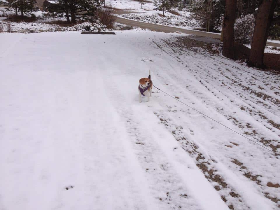 Ohaver Lake Campground