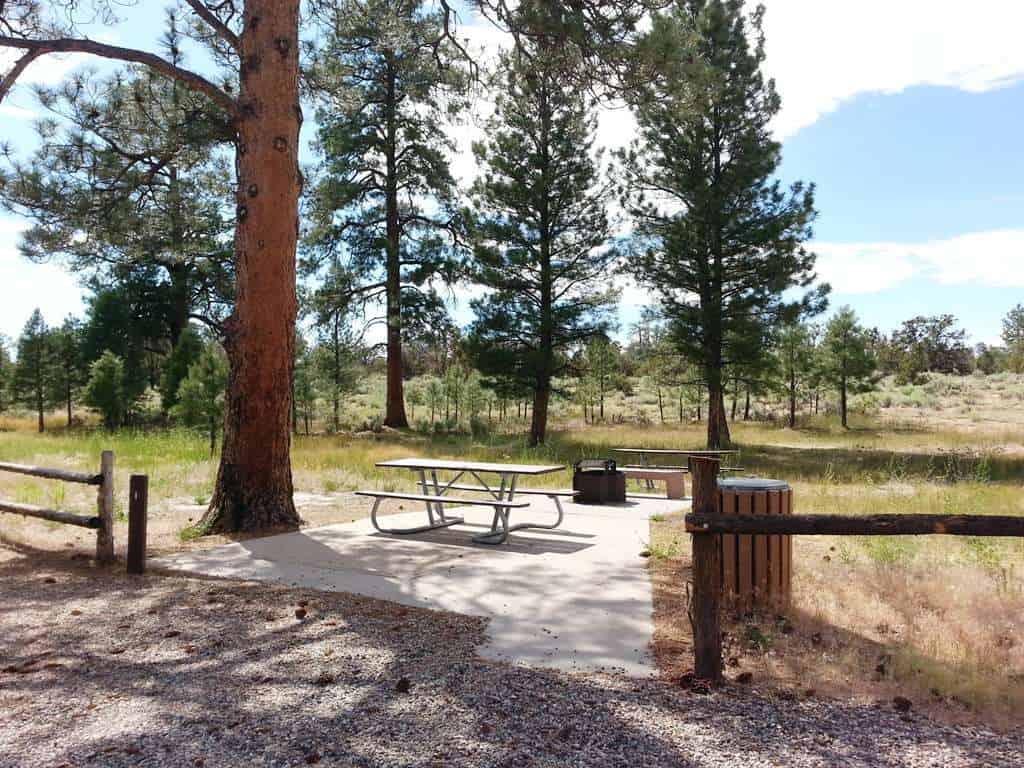 Ponderosa Grove Campground