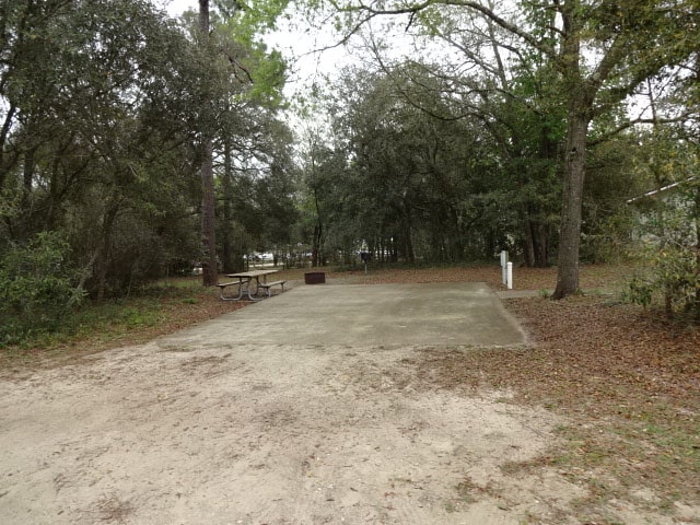 Mike Roess Gold Head Branch State Park