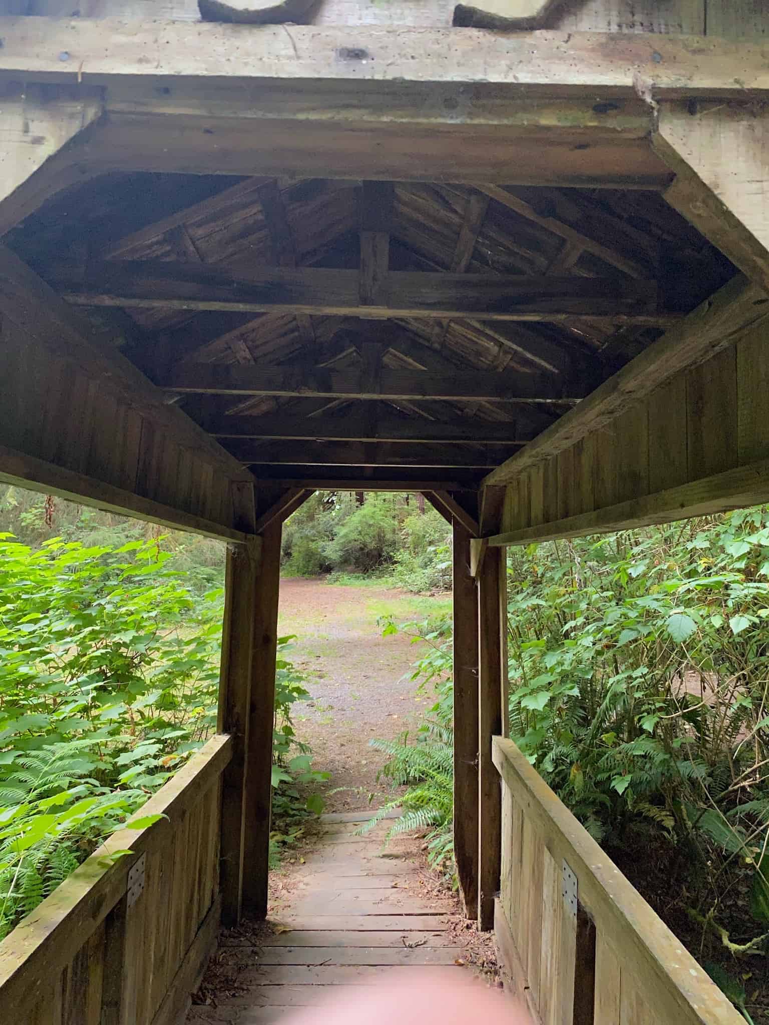 Mystic Forest RV Park