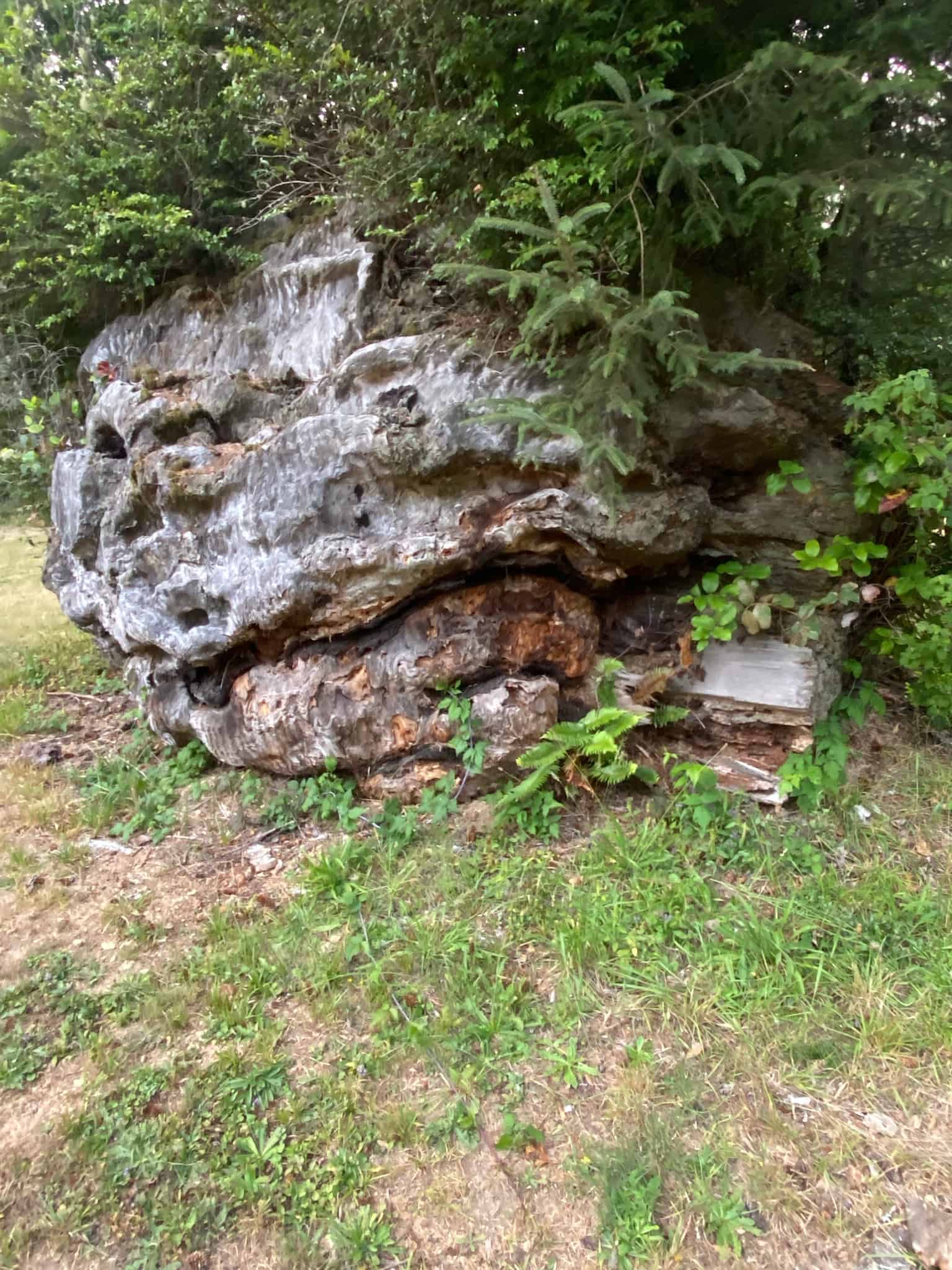 Mystic Forest RV Park