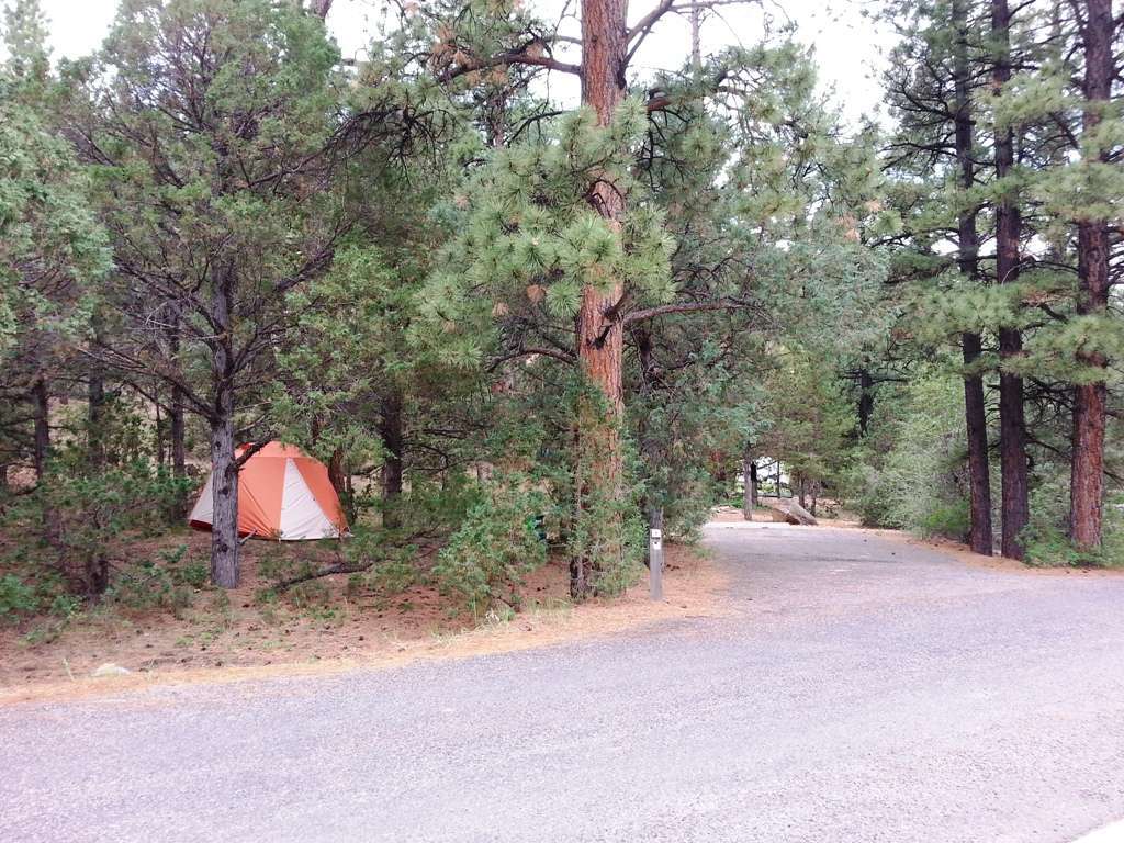 Red Canyon Campground