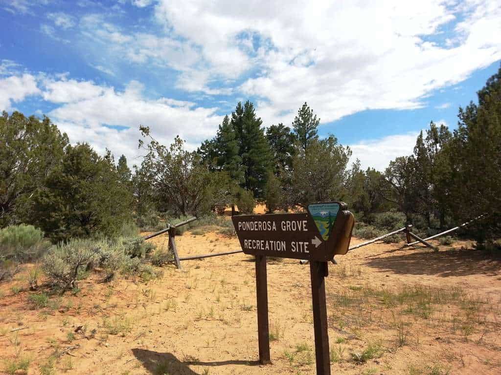 Ponderosa Grove Campground