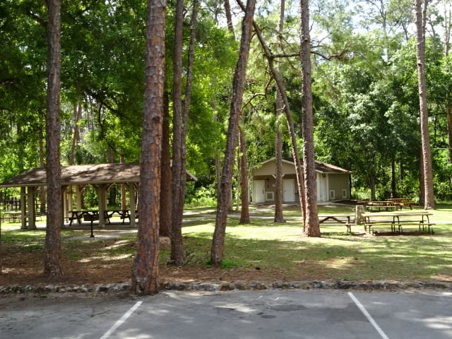 Highlands Hammock State Park Campground