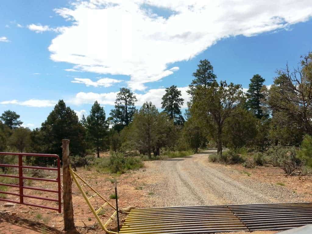 Ponderosa Grove Campground