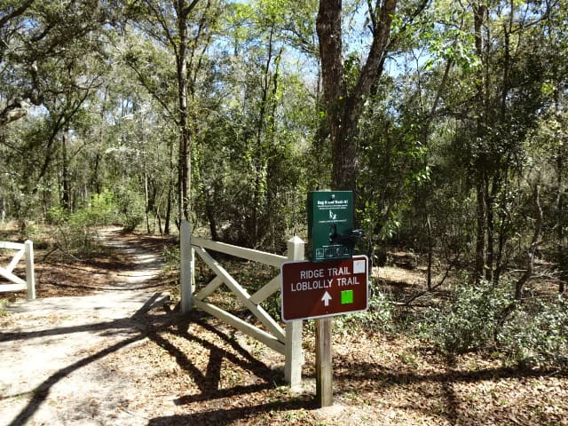 Mike Roess Gold Head Branch State Park