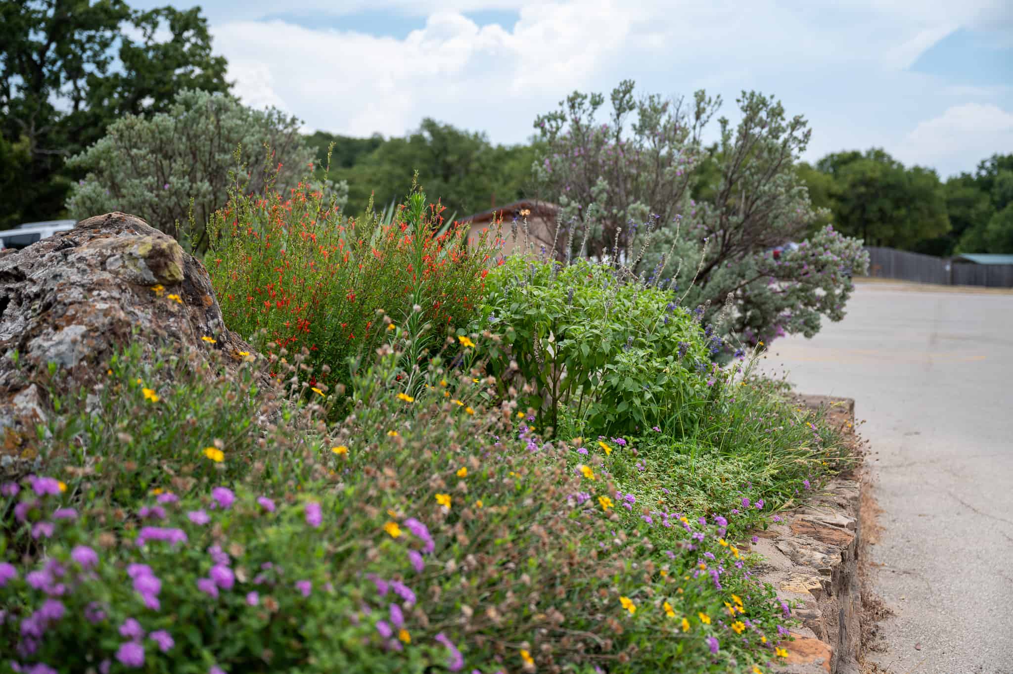 Lake Mineral Wells State Park & Trailway