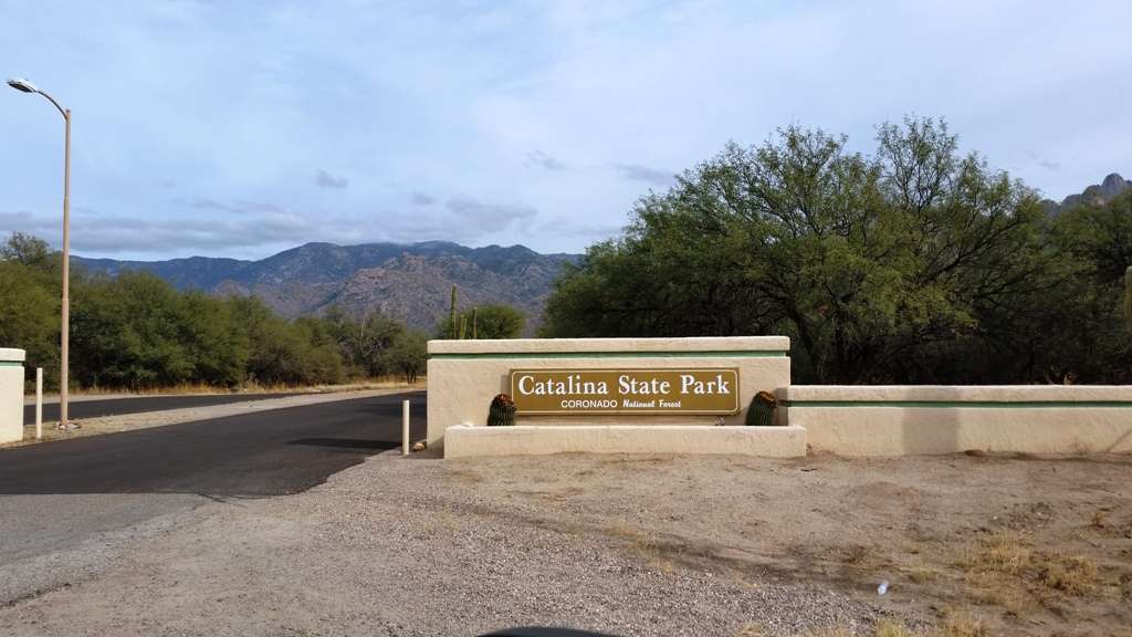 Catalina State Park Campground