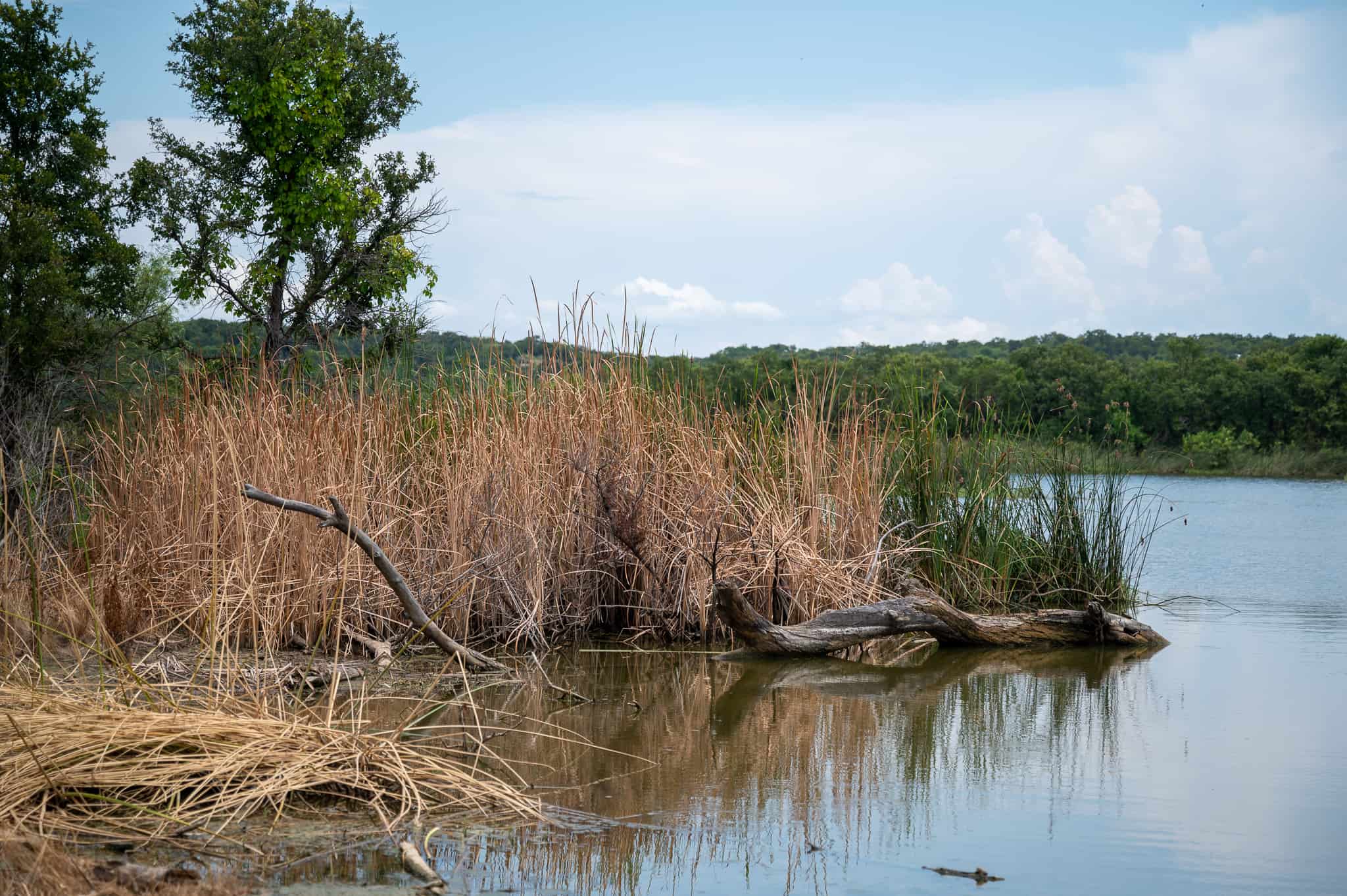Lake Mineral Wells State Park & Trailway