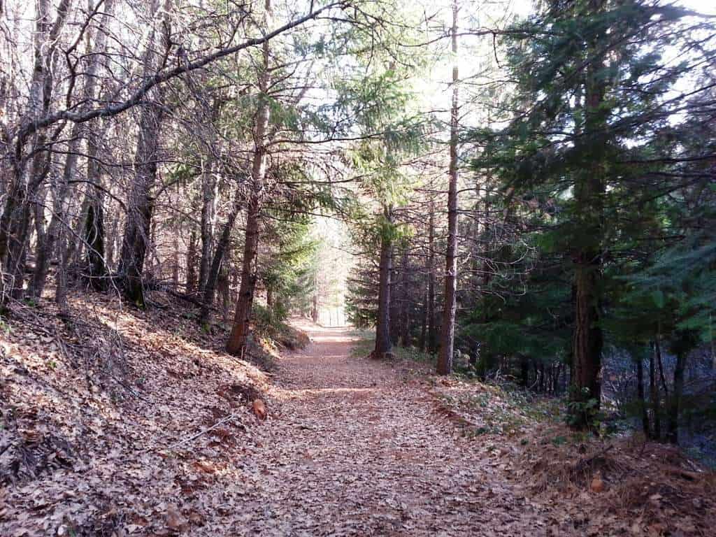 Dutch Flat RV Resort