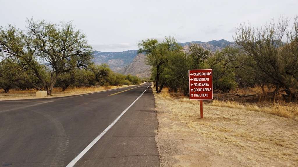 Catalina State Park Campground