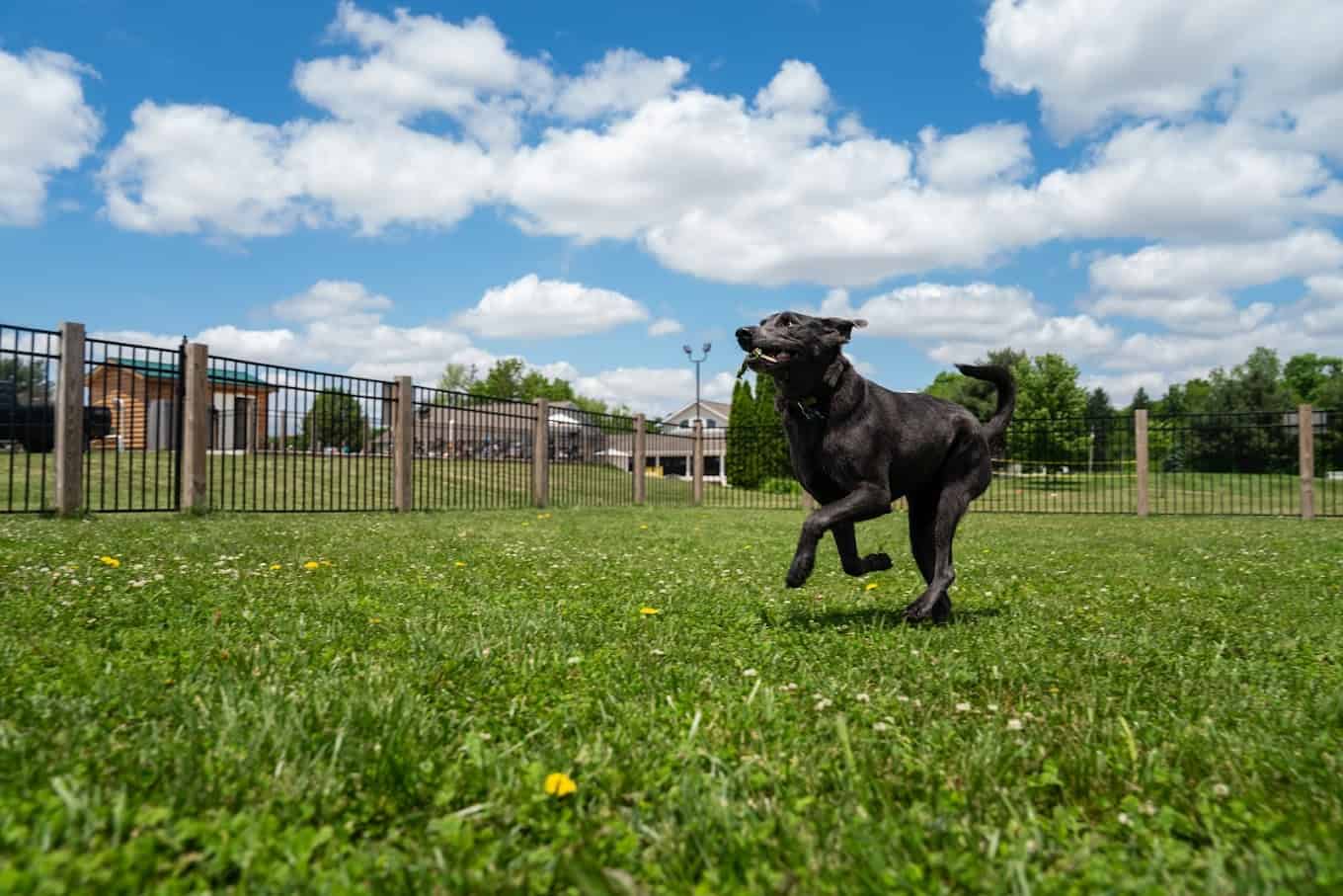 Mt. Gilead / Mid-Ohio KOA