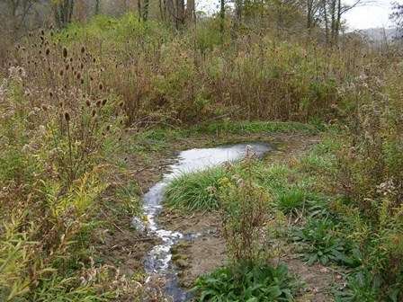 Big Bone Lick State Park