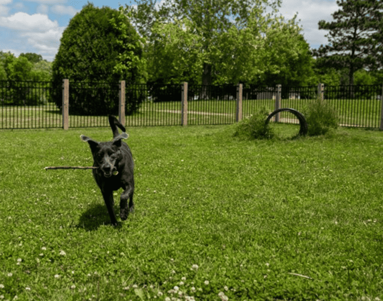 Mt. Gilead / Mid-Ohio KOA