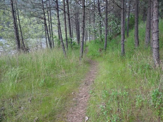 Pink House Recreation Site