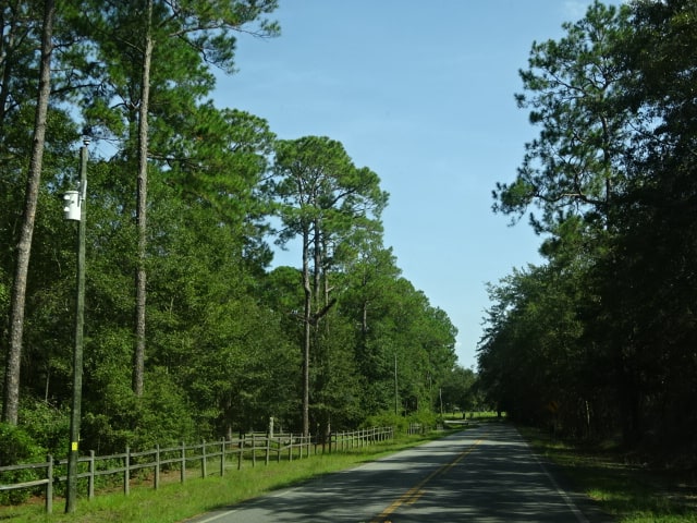 Laura S. Walker State Park
