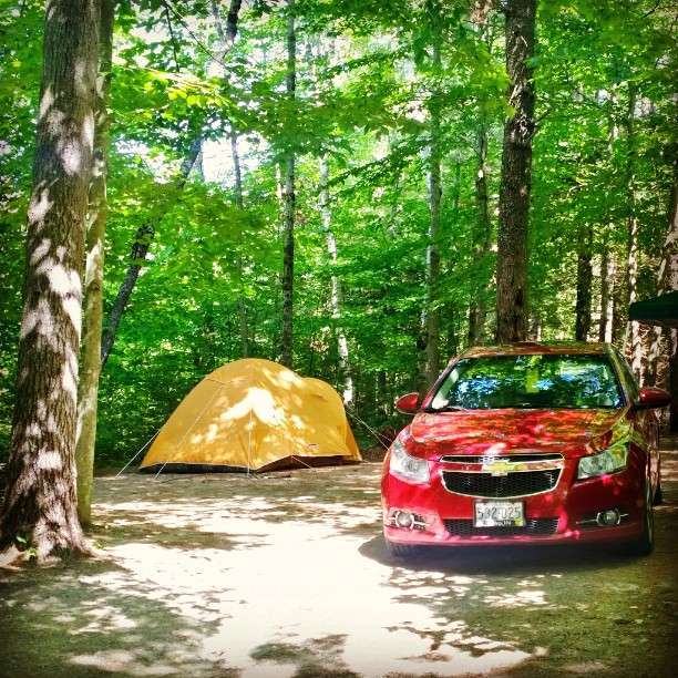 Moose Hillock Camping Resort