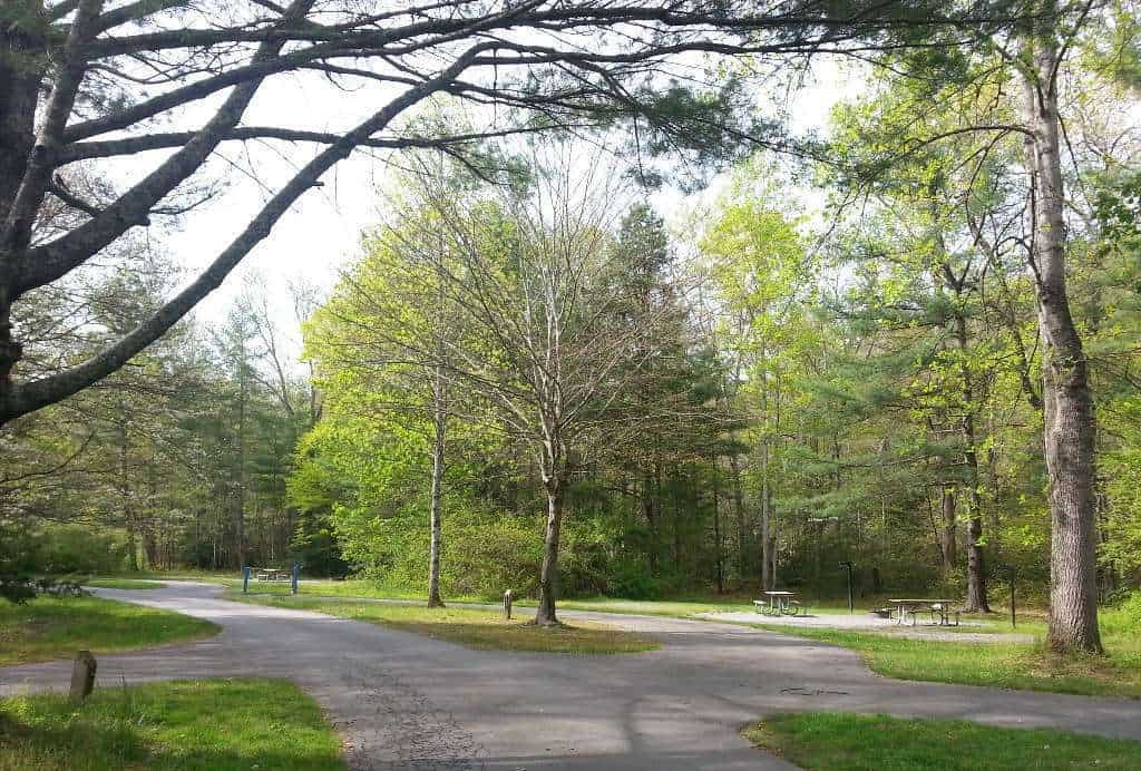 Davidson River Campground