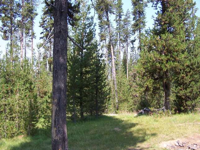 Diamond Lake RV Park