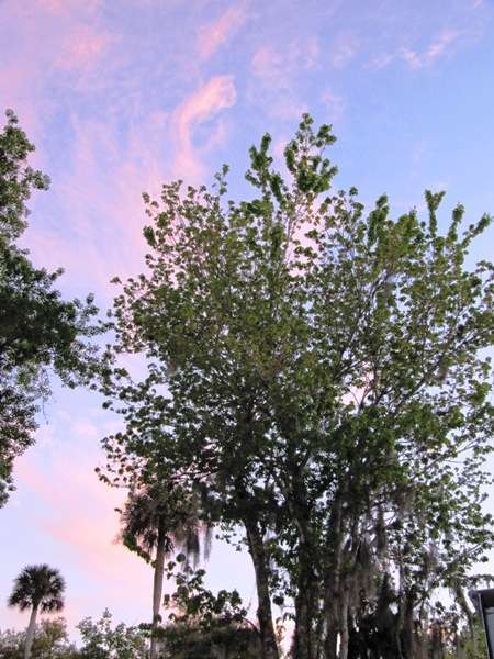 New Smyrna Beach RV Park and Campground