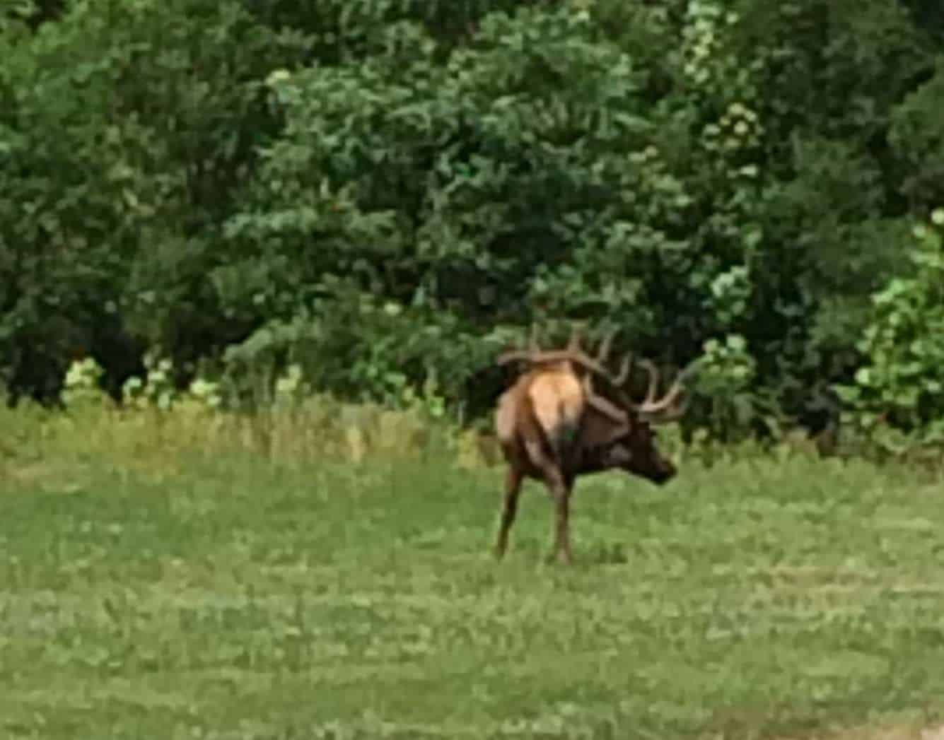 Indian Creek Campground