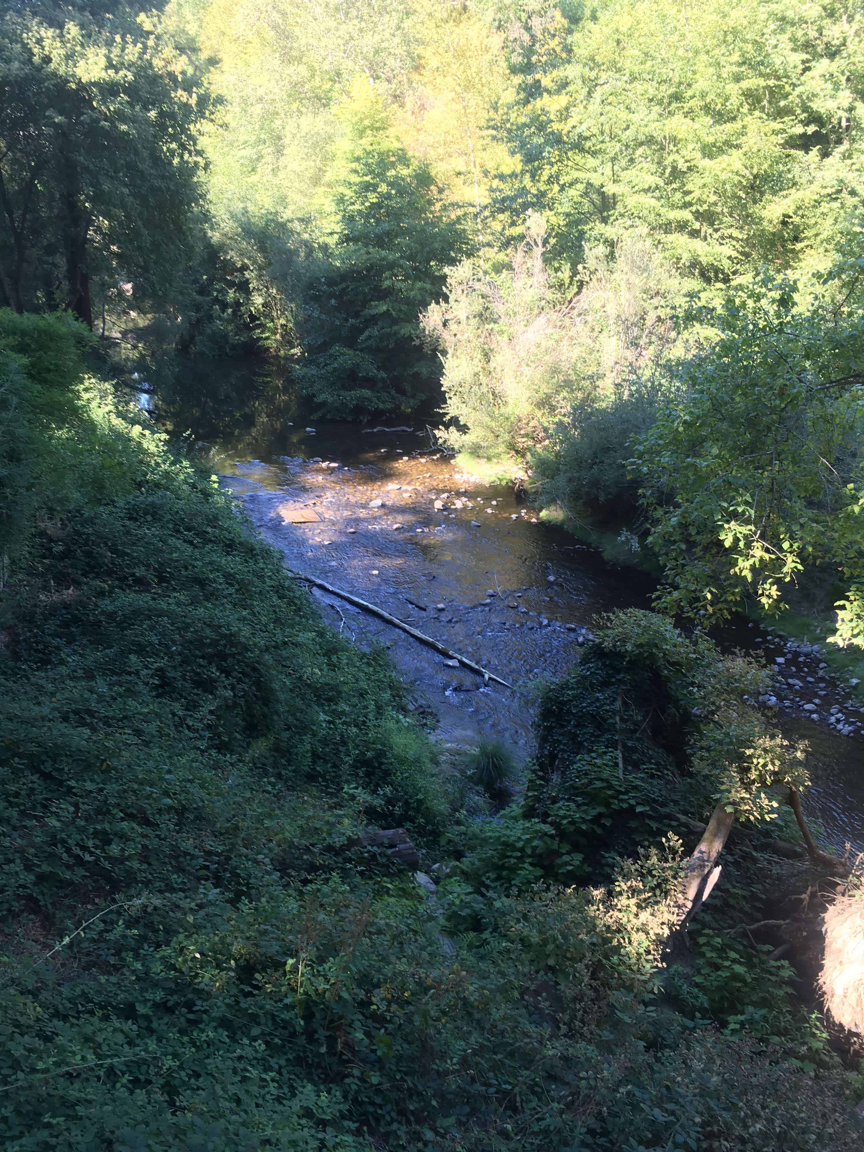 Santa Cruz Redwoods RV Resort