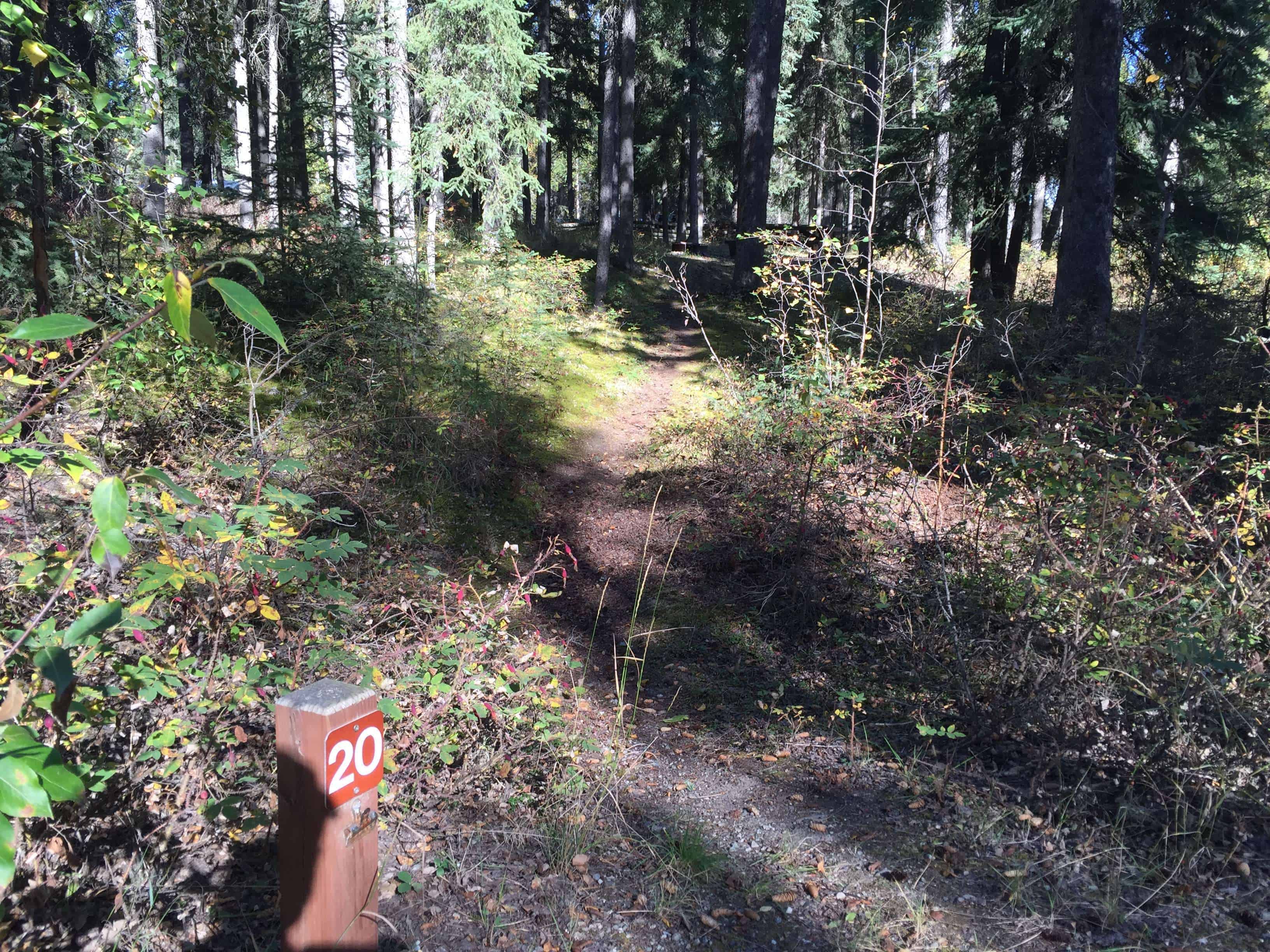 Delta State Recreation Site