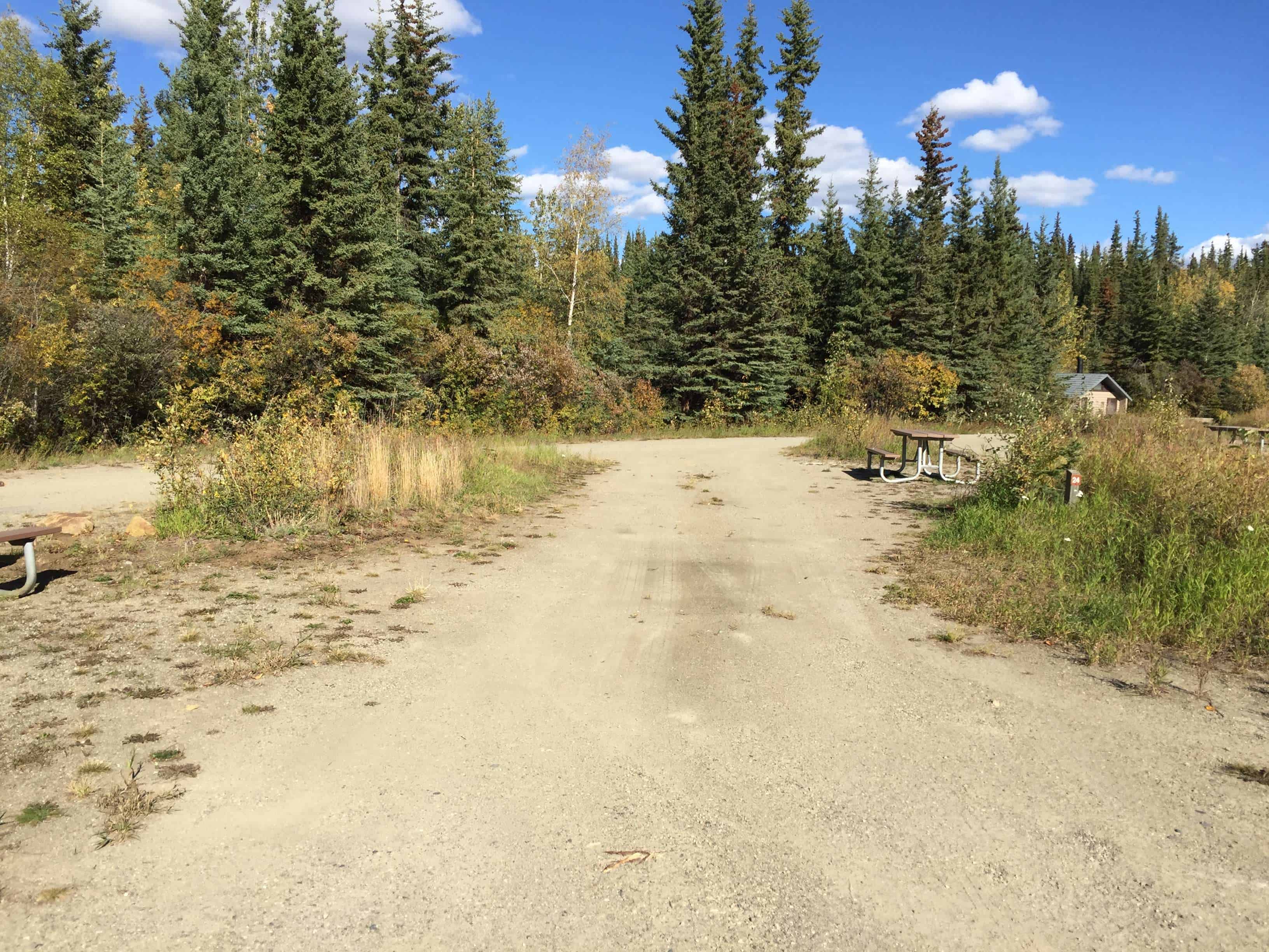 Tok River State Campground