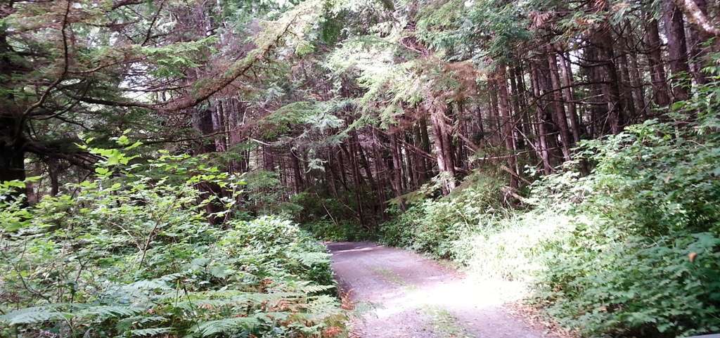 Kalaloch Lodge Campground