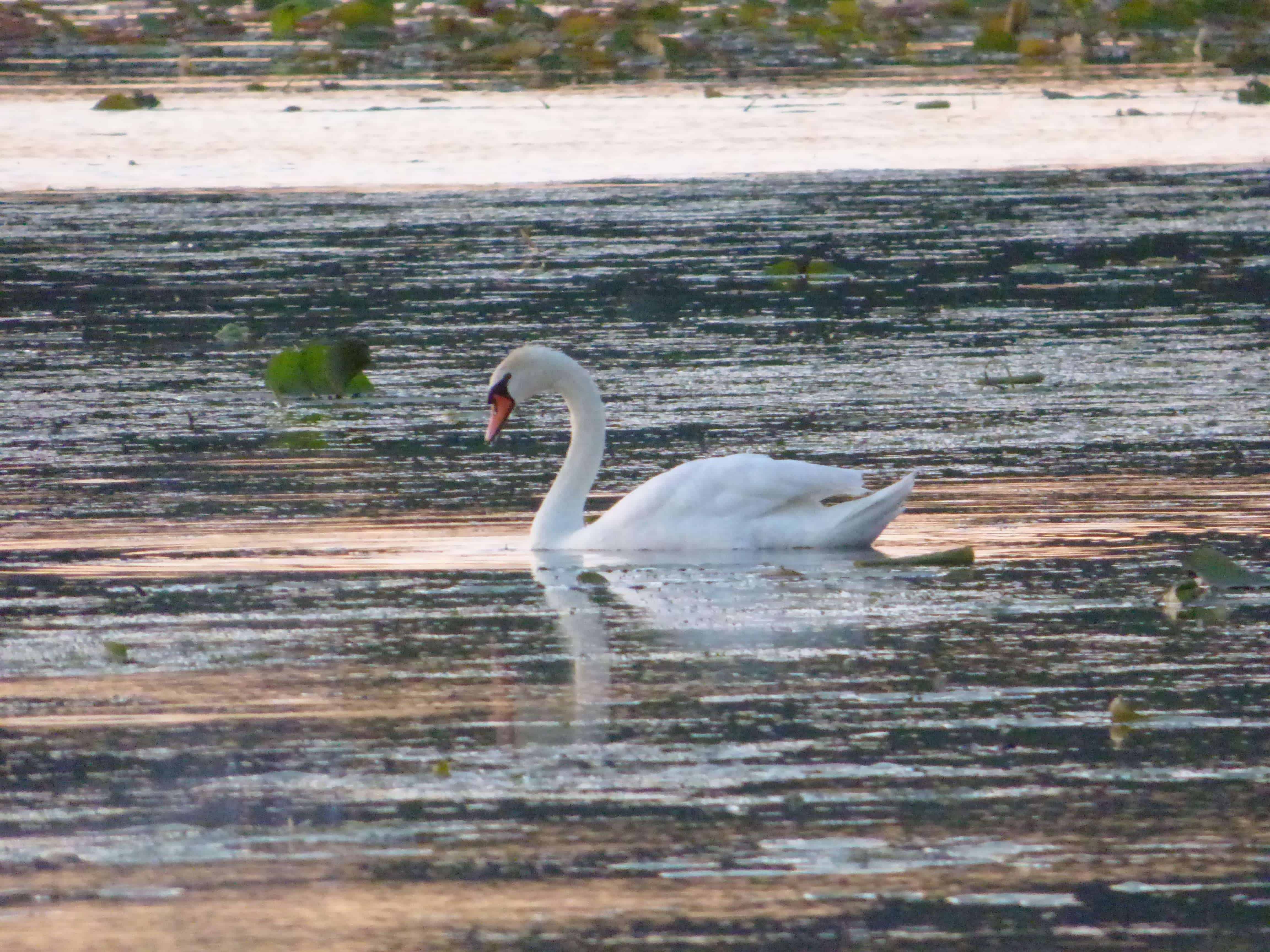Fisherman's Corner North Recreation Area Campground