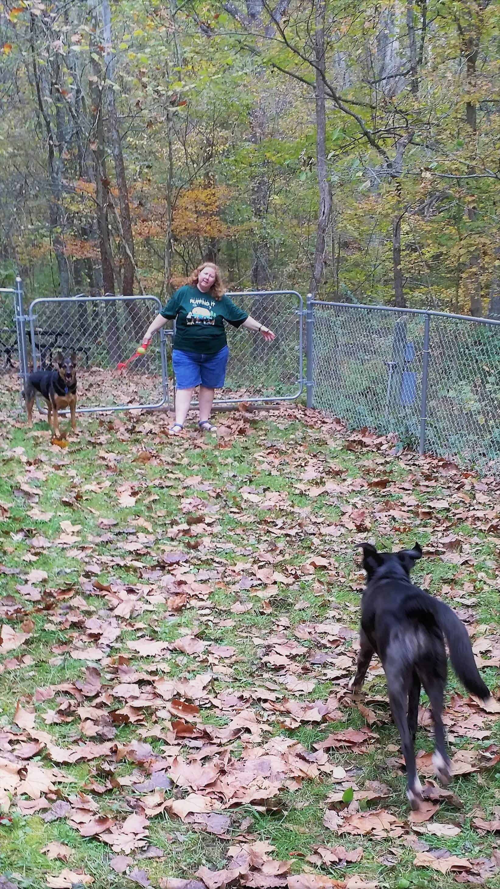 Brown County Nashville KOA