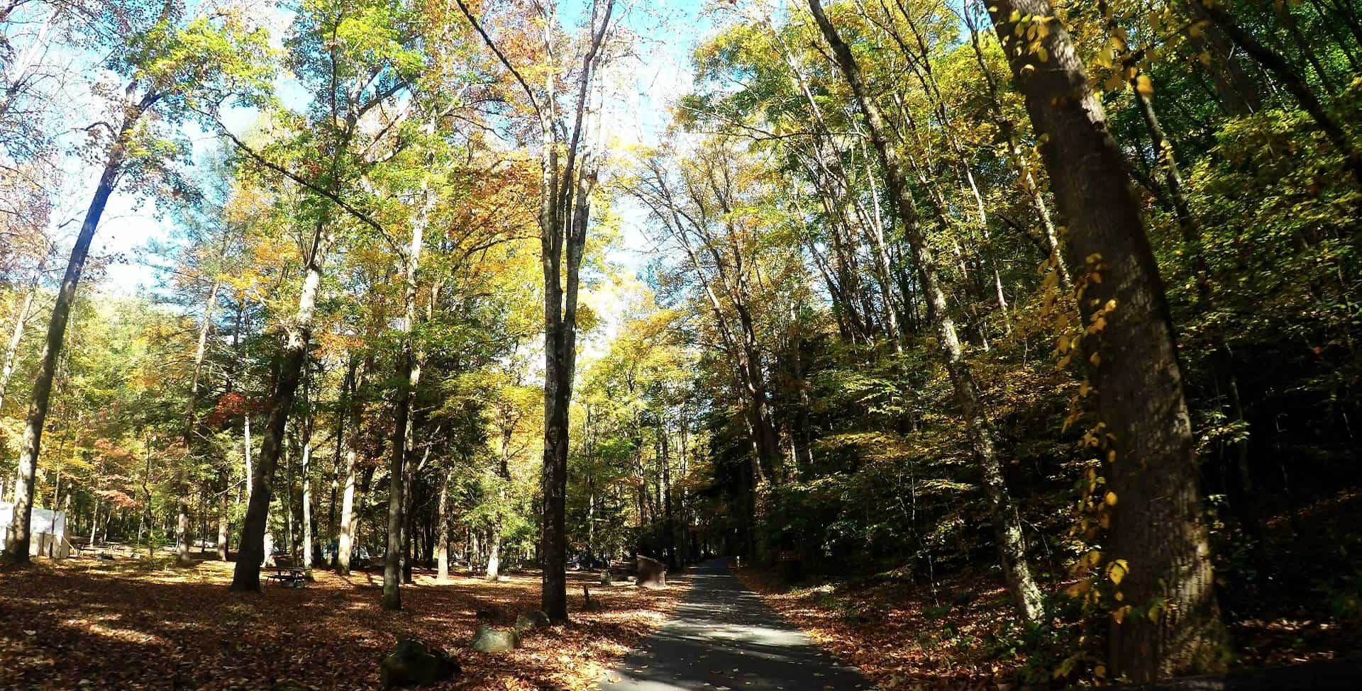 Smokemont Campground