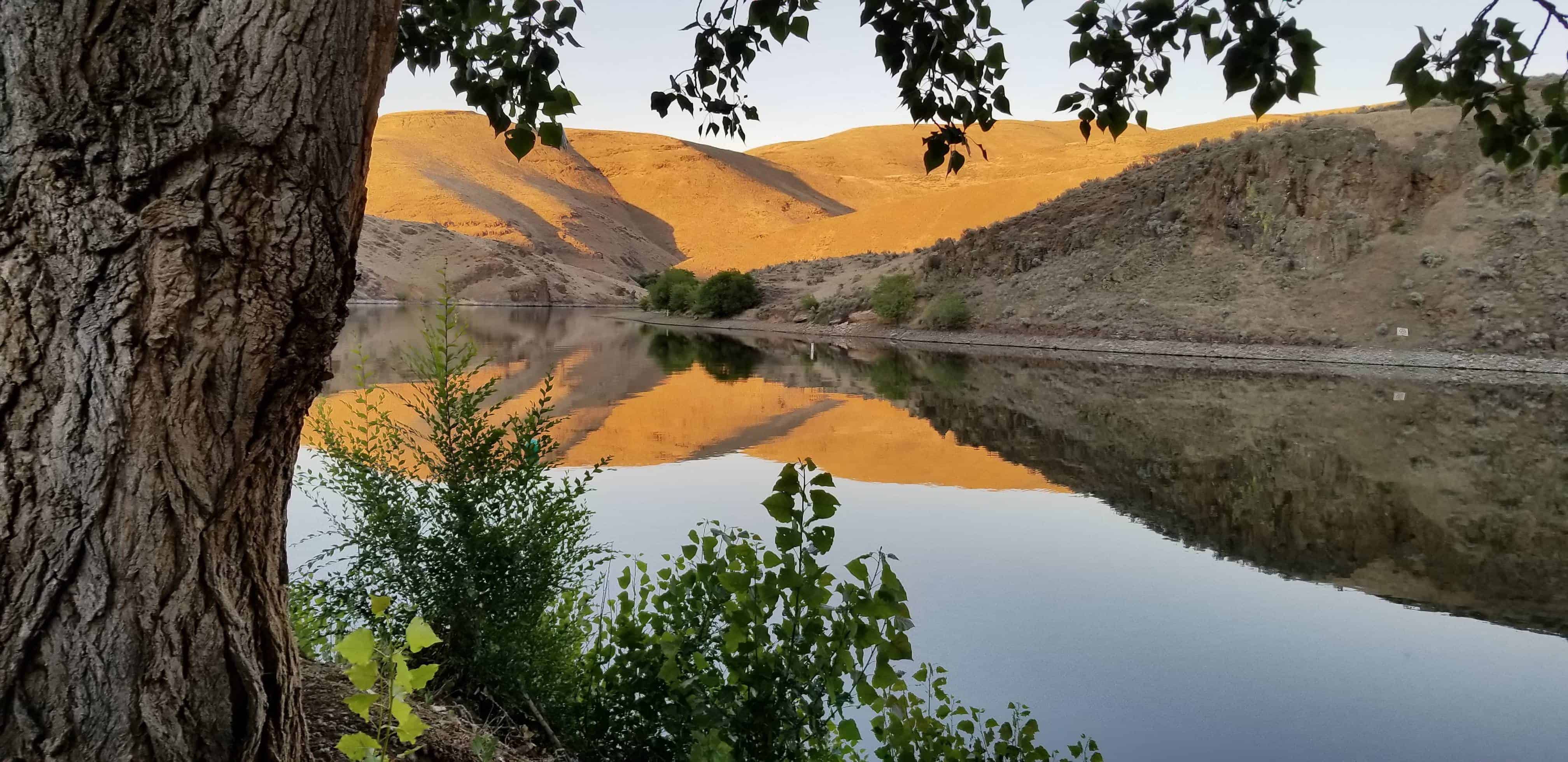 Hewitt / Holcomb Park