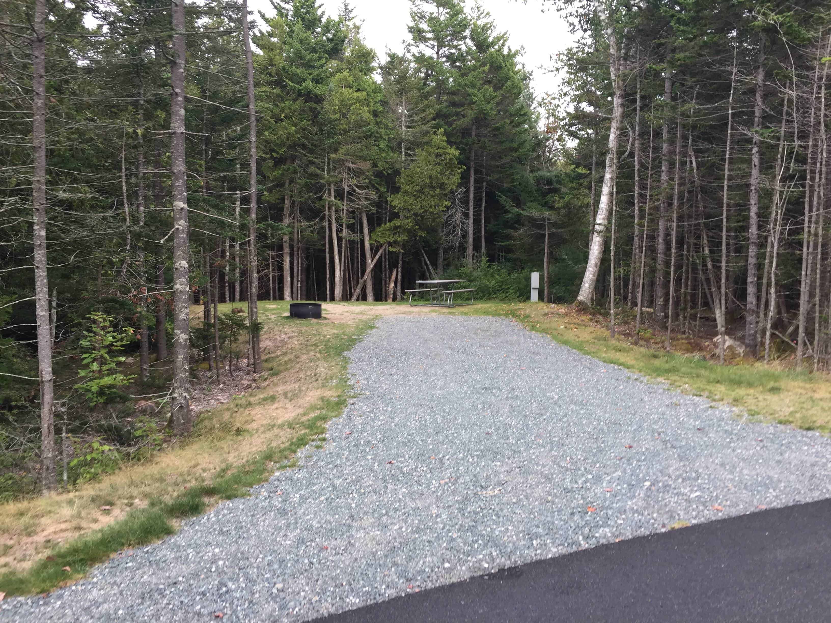 Schoodic Woods Campground