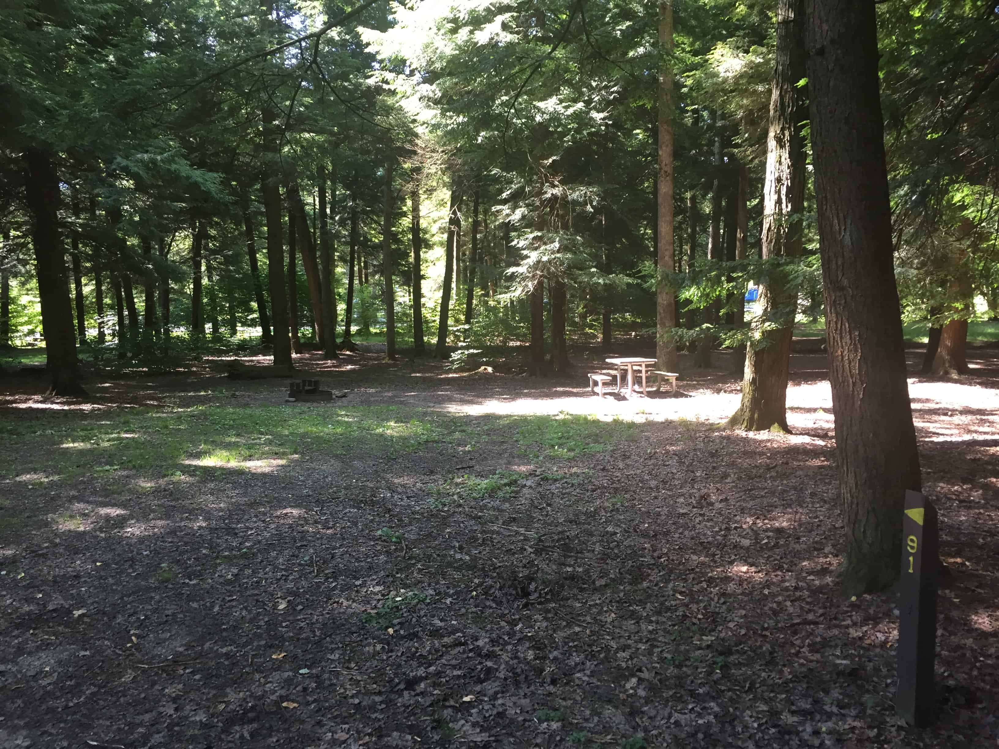 Cook Forest State Park