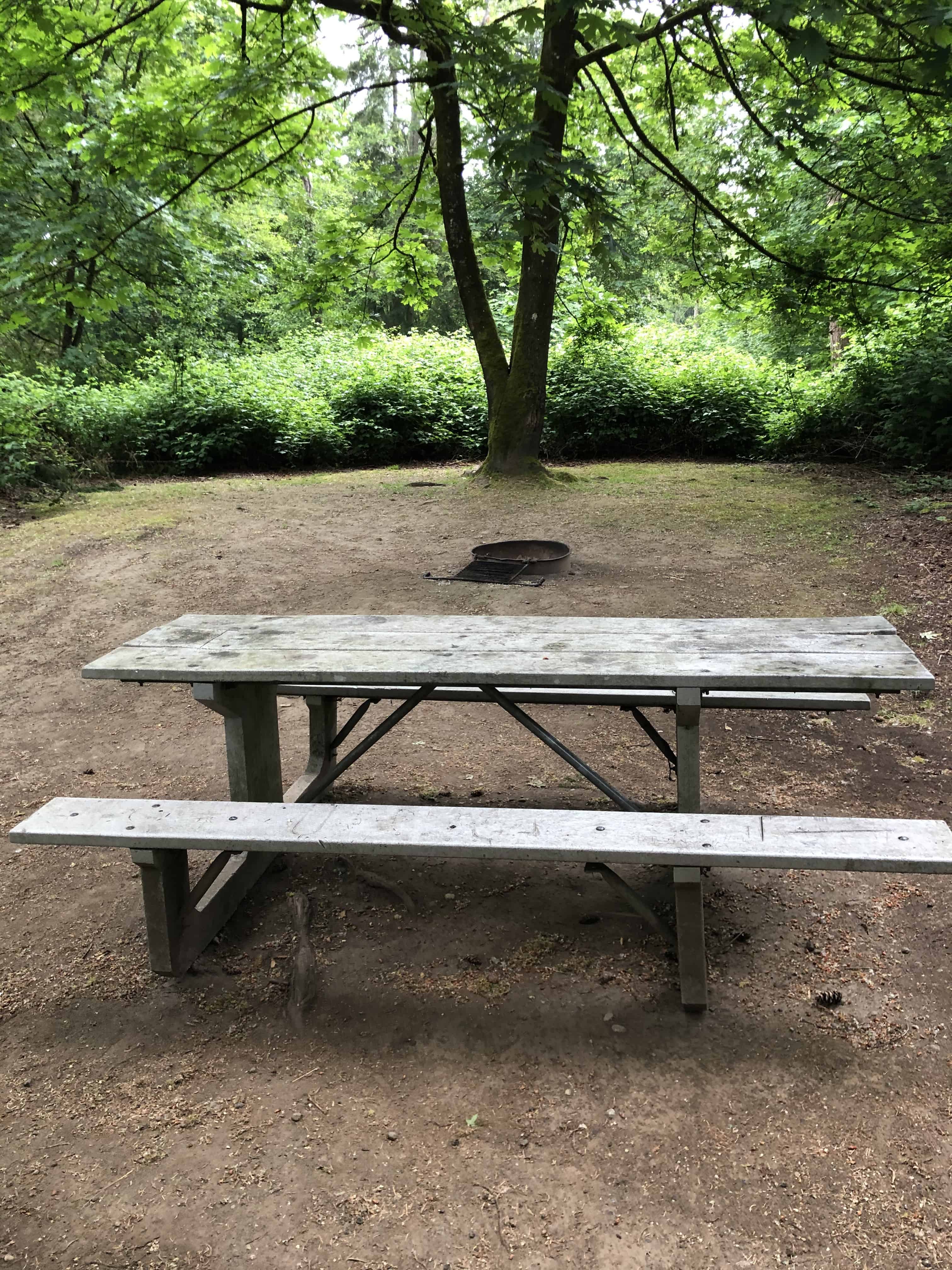 Dash Point State Park