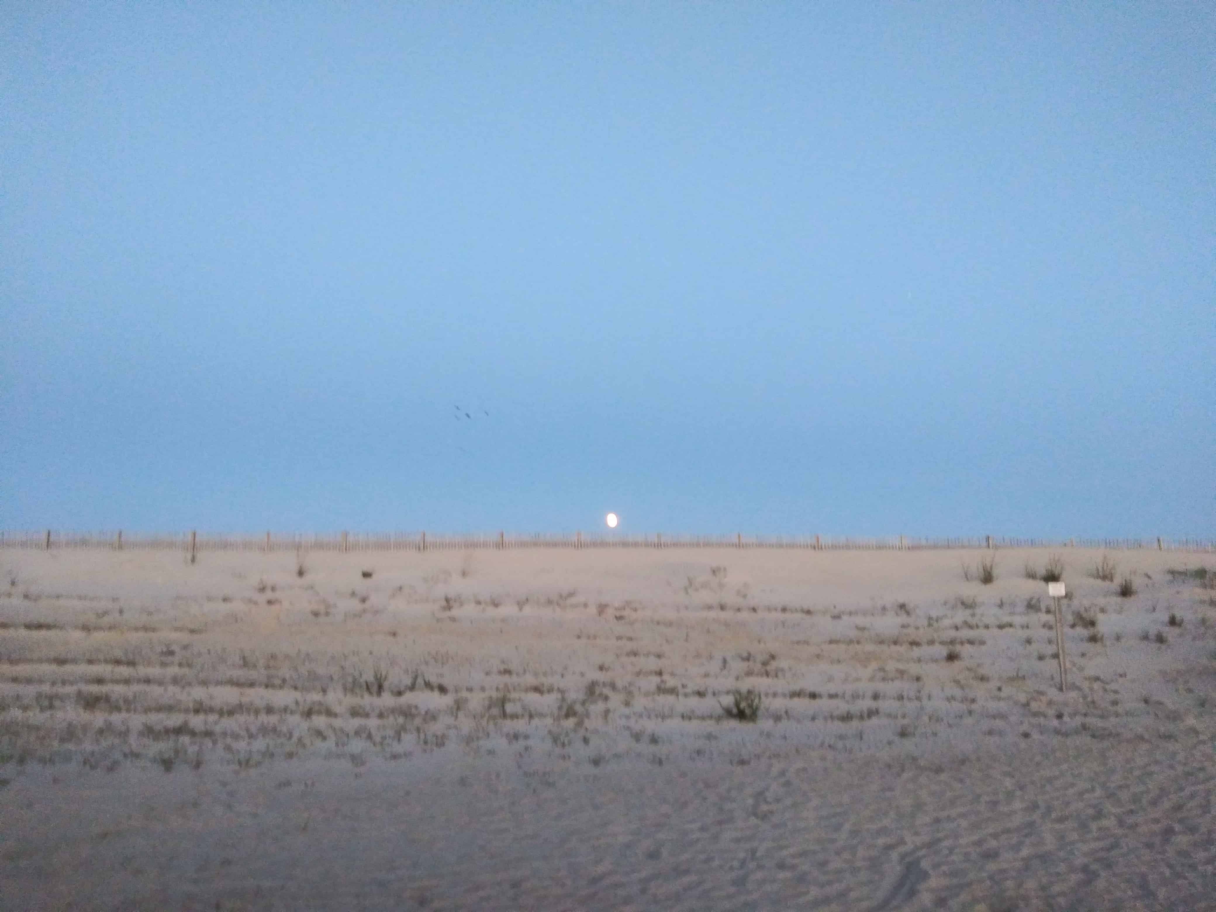 Assateague State Park