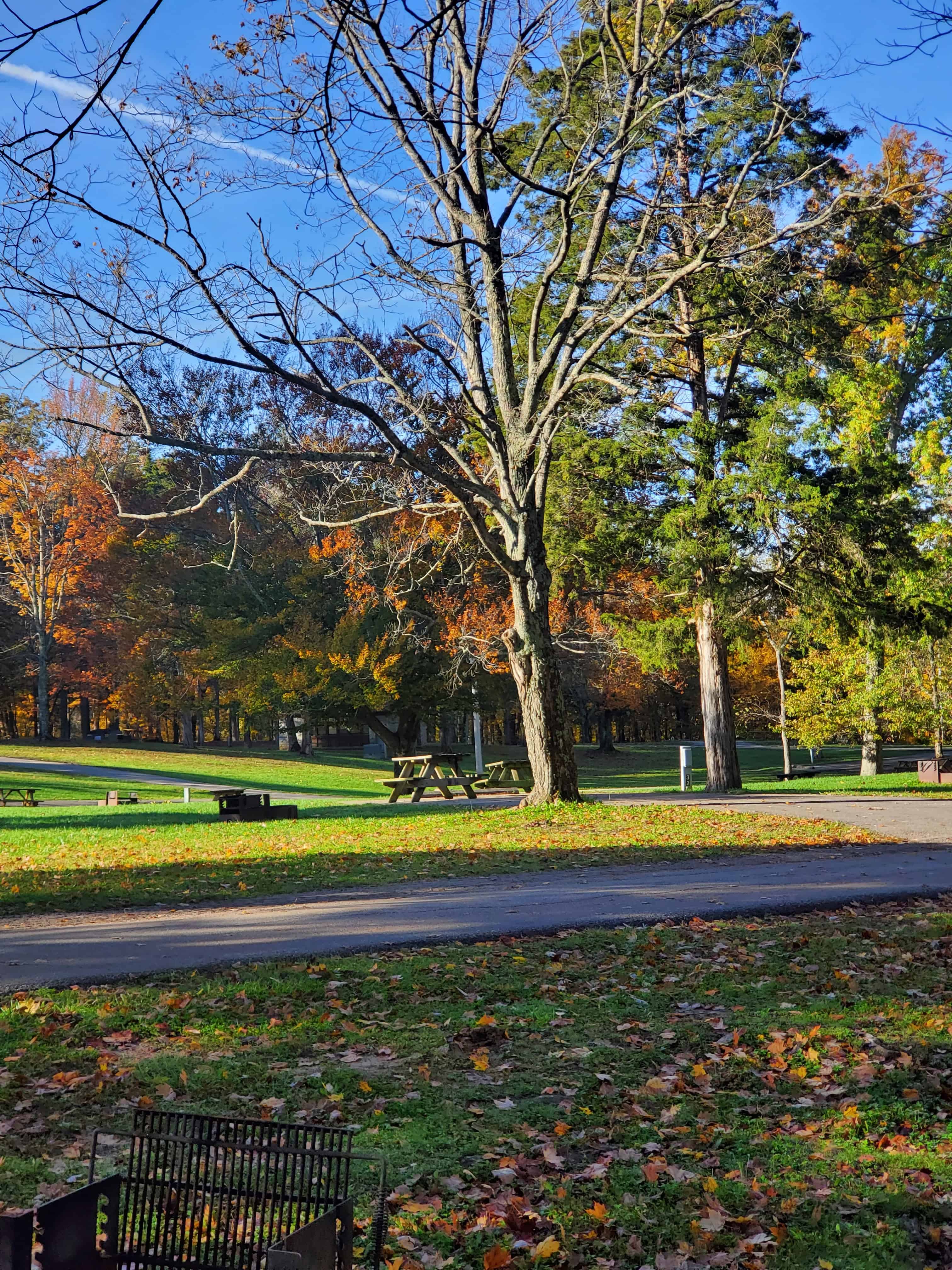 Versailles State Park